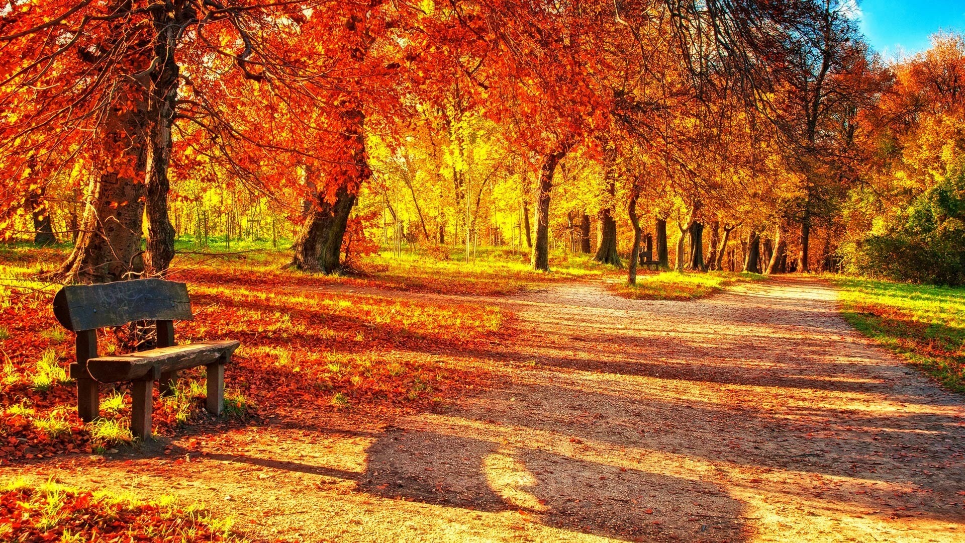 Golden park, Autumn Wallpaper, 1920x1080 Full HD Desktop