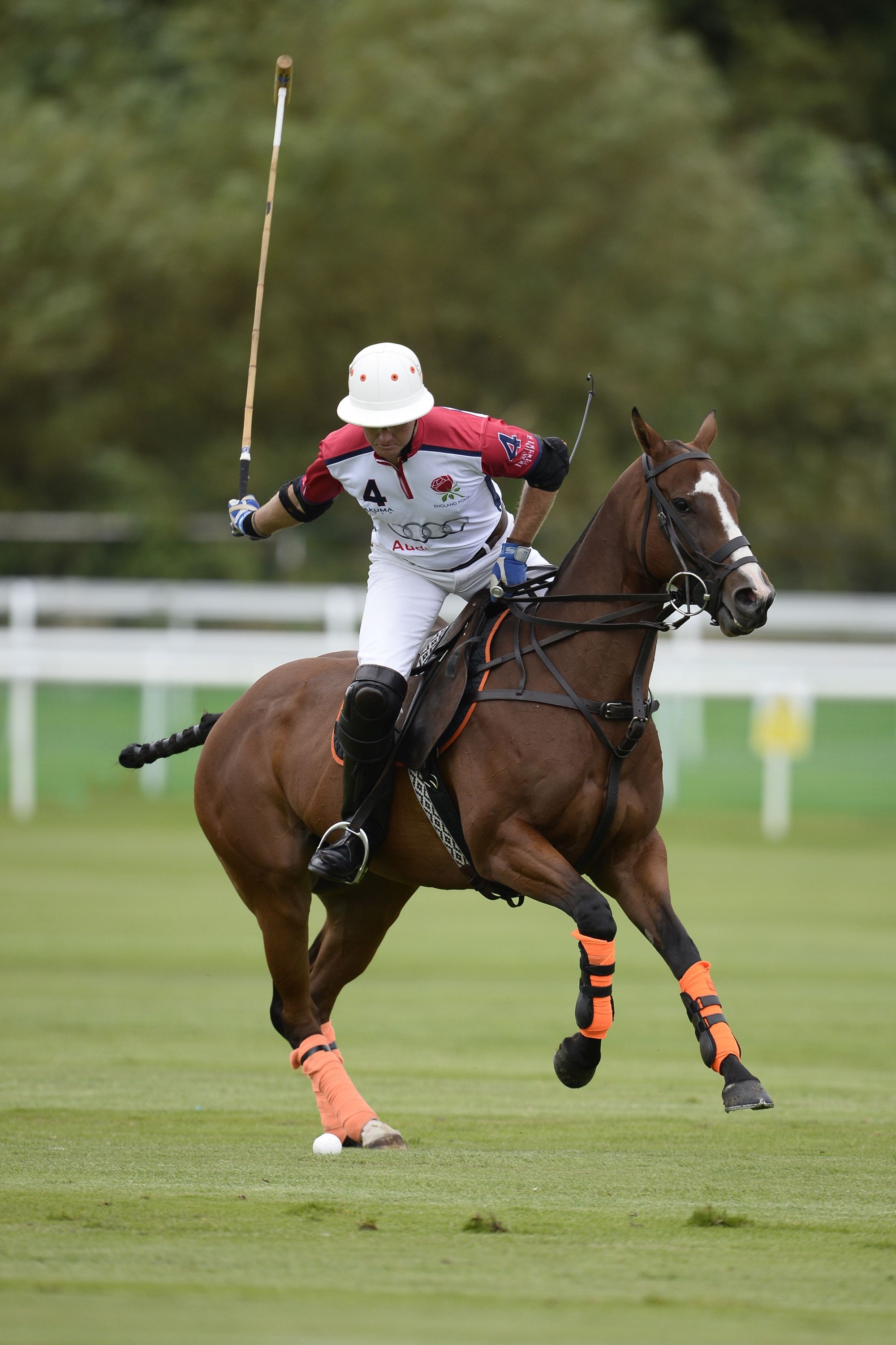 Tom Morley, Horse Polo Wallpaper, 2000x3000 HD Phone