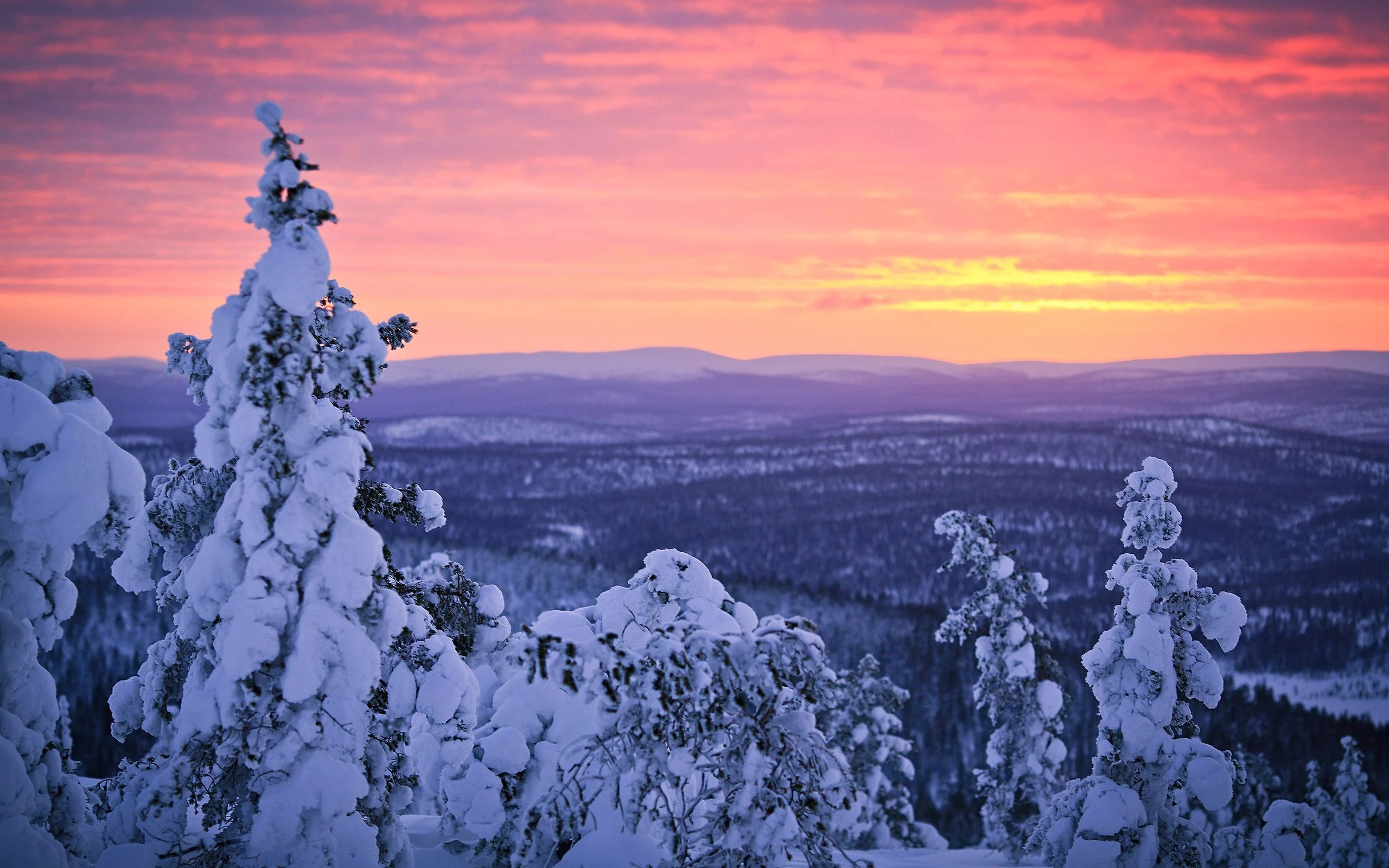 Lapland, Finland Wallpaper, 2560x1600 HD Desktop