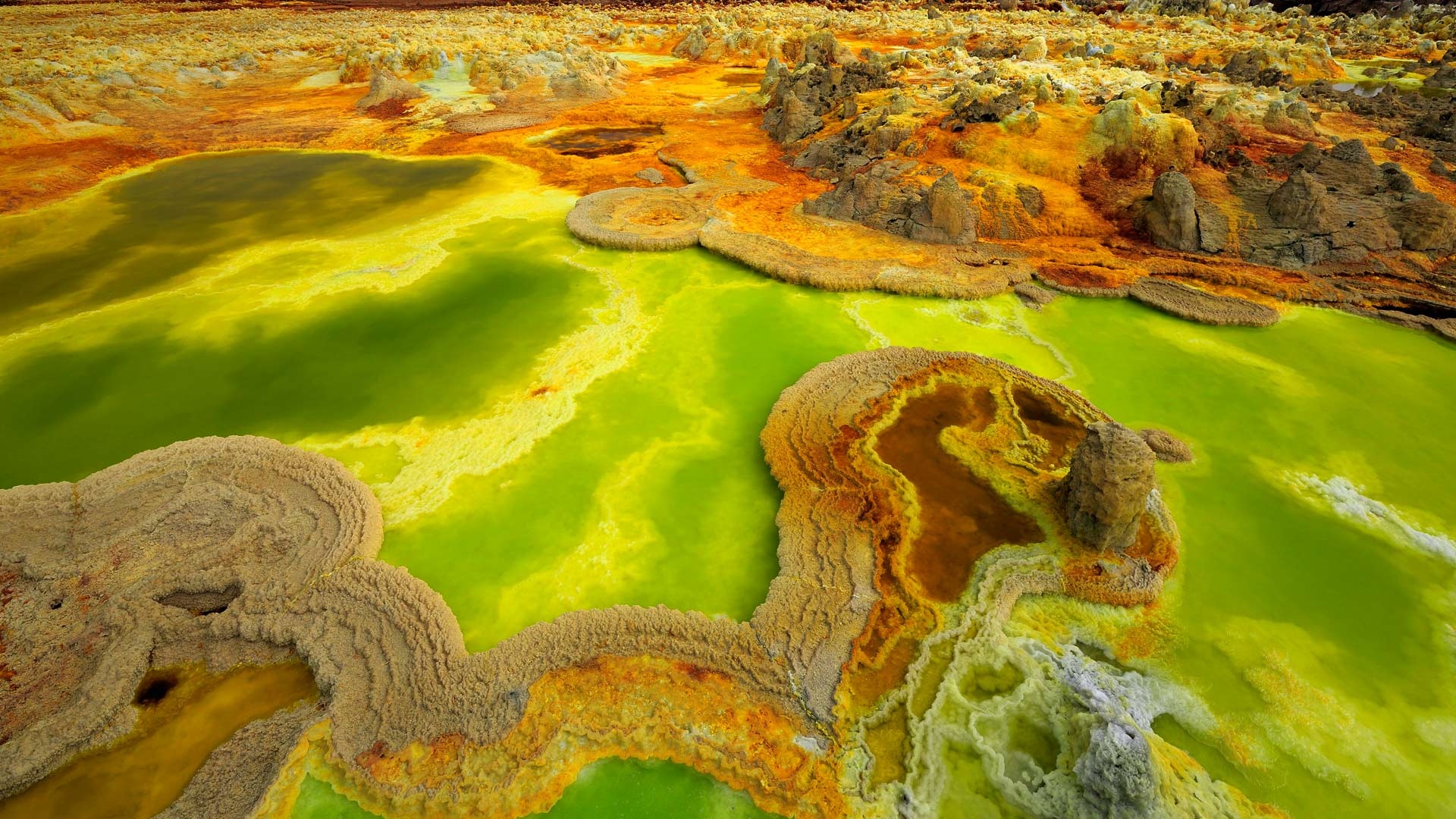 Ethiopian wildlife, Breathtaking nature, Rich biodiversity, Untouched wilderness, 1920x1080 Full HD Desktop