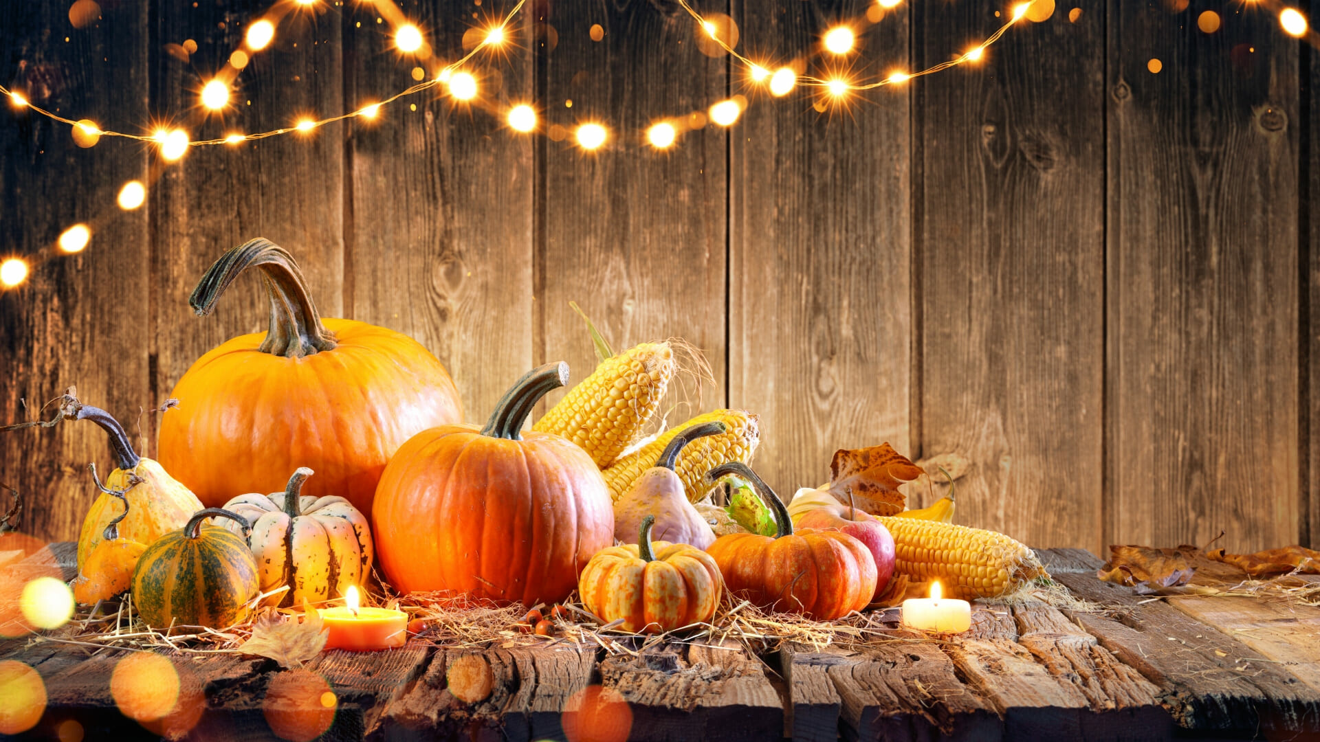 Thanksgiving holiday, Thanksgiving wallpaper, Free, 1920x1080 Full HD Desktop