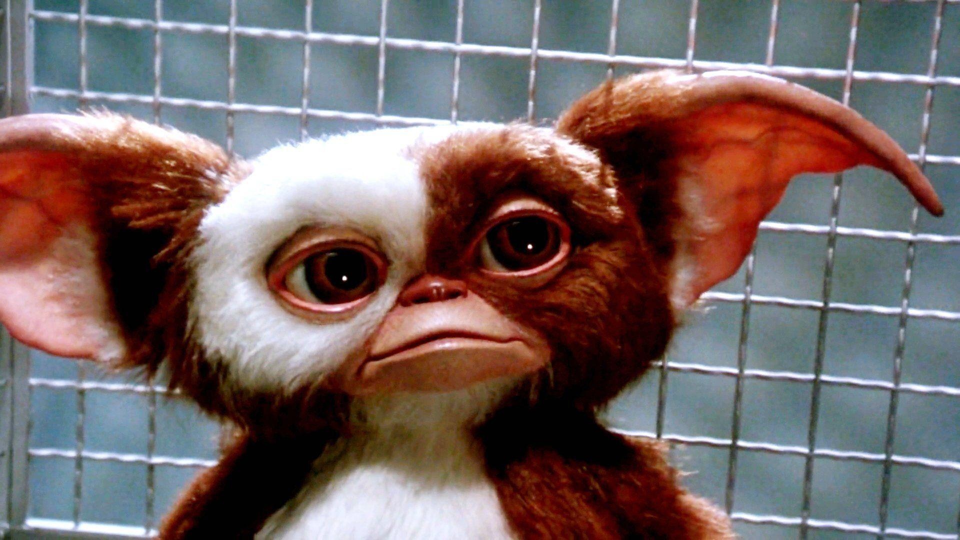 Gremlins wallpapers, Fan-created artwork, Unique designs, Movie-inspired, 1920x1080 Full HD Desktop