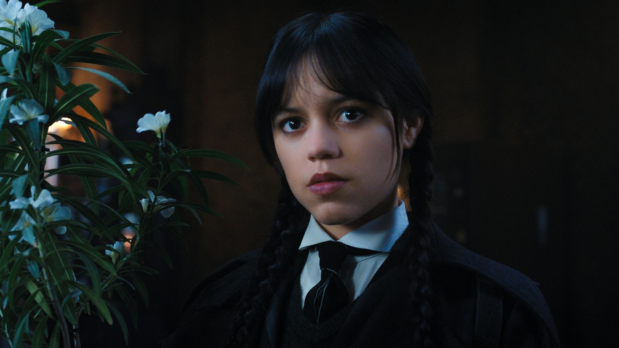 Wednesday Addams, Jenna Ortega, Nevermore Academy uniform, HD Desktop wallpaper