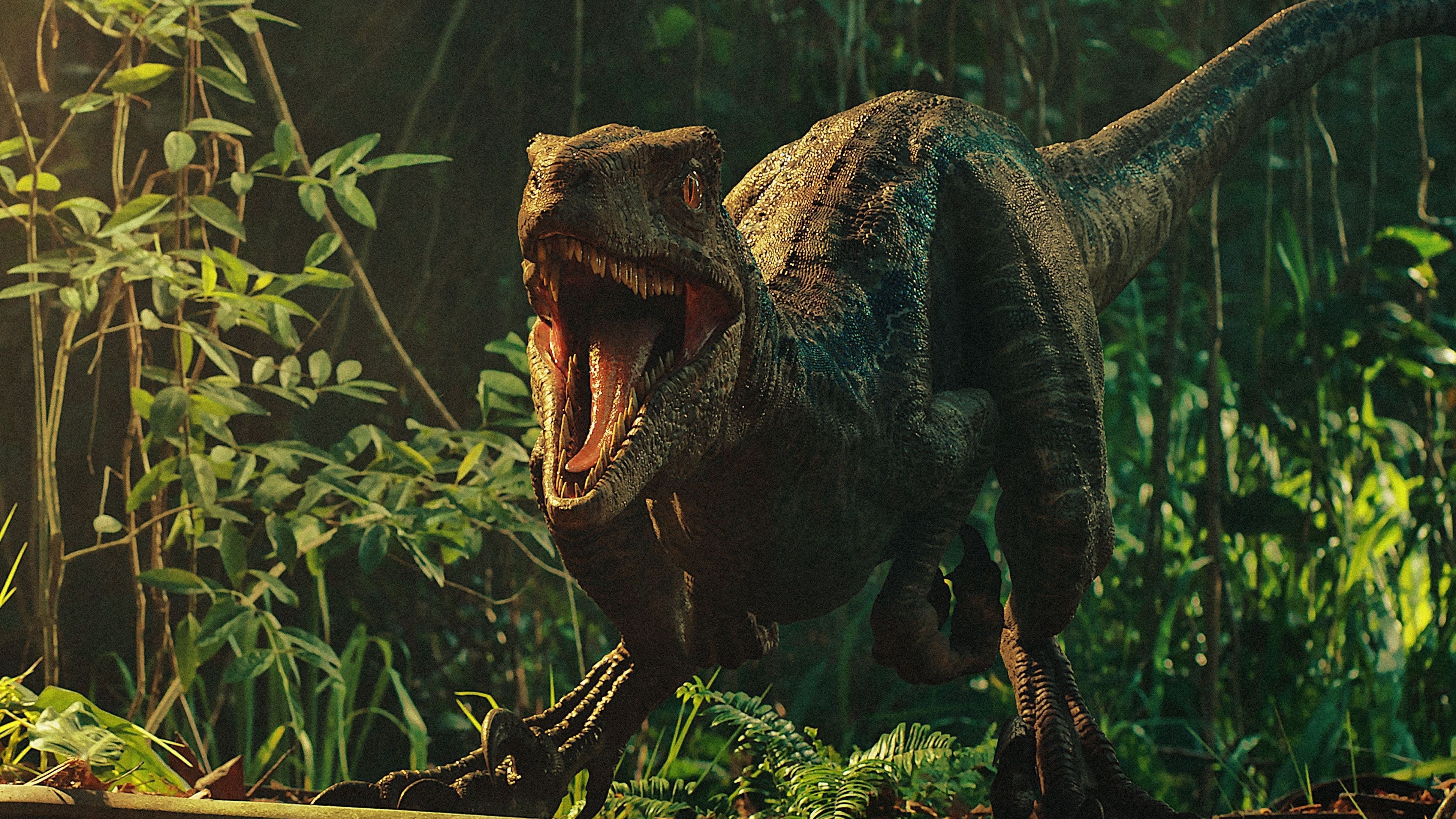 Jurassic World: Fallen Kingdom, Dinosaurs Wallpaper, 3840x2160 4K Desktop