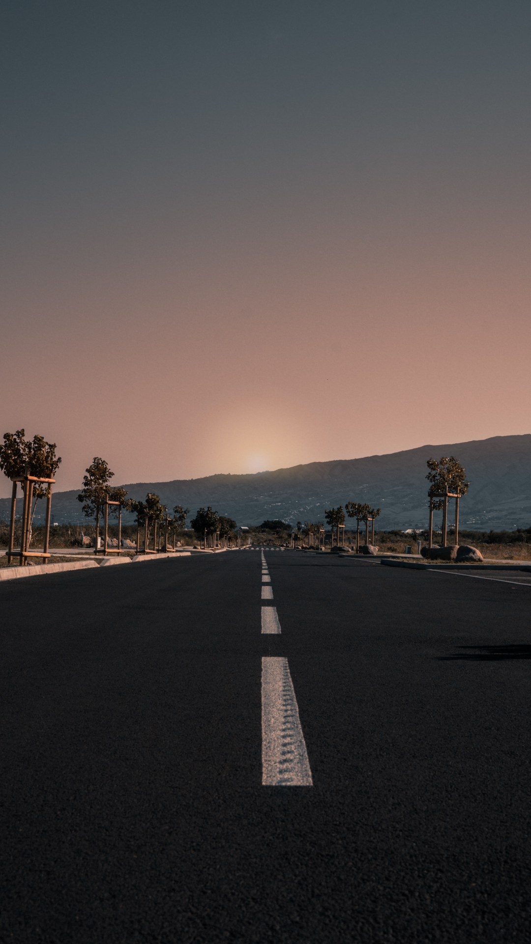 Highway between trees, Golden hour, Background for you, Wallpaper, 1080x1920 Full HD Phone