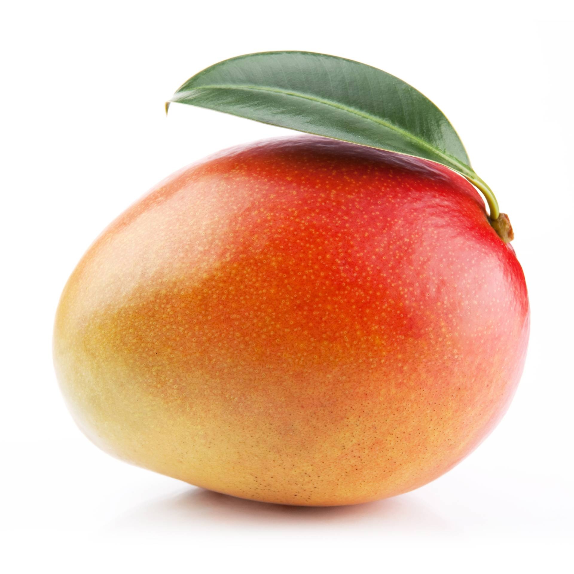 Tropical mango, Sweet and juicy, Exotic fruit, Delicious flavor, 1920x1920 HD Phone