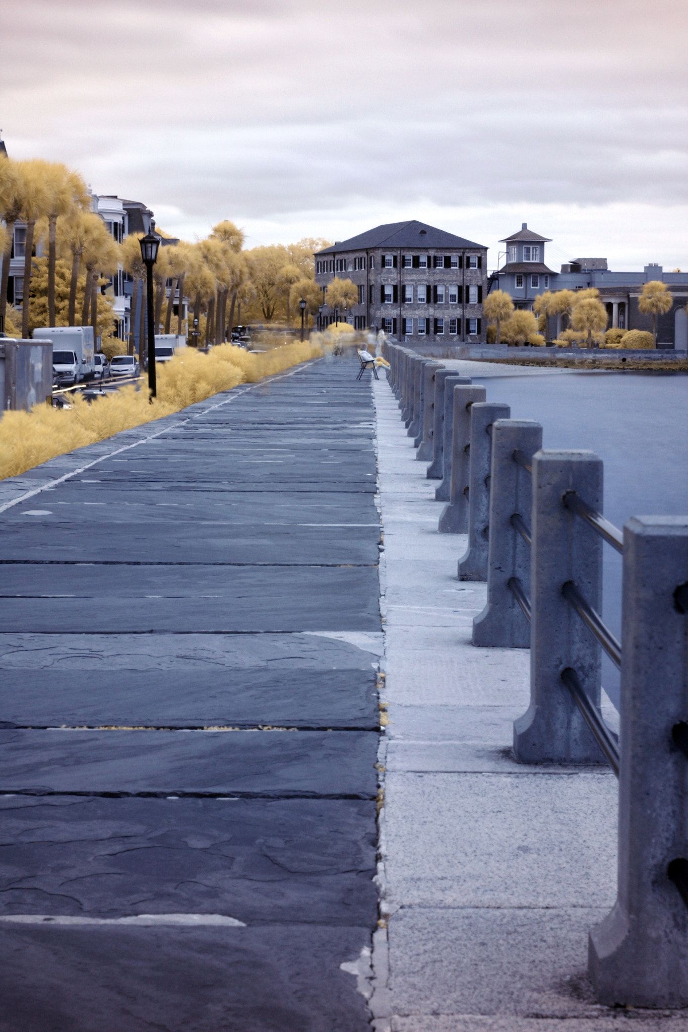 Charleston Travels, The Battery, Infrared Blurred Background, 1370x2050 HD Phone