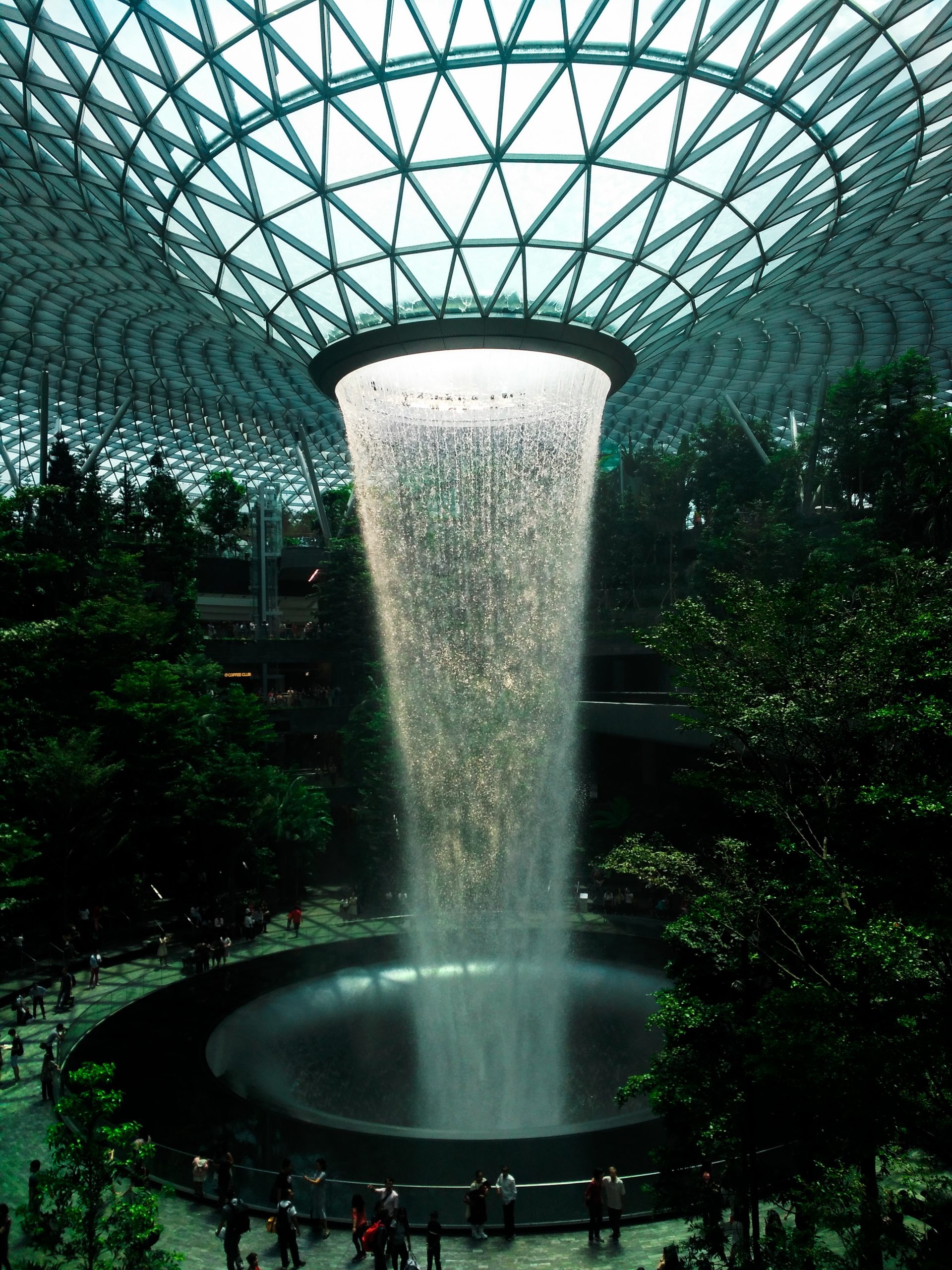 Singapore Changi International Airport, Free image, Mahek Prajapati, Terminal aesthetics, 1920x2560 HD Phone