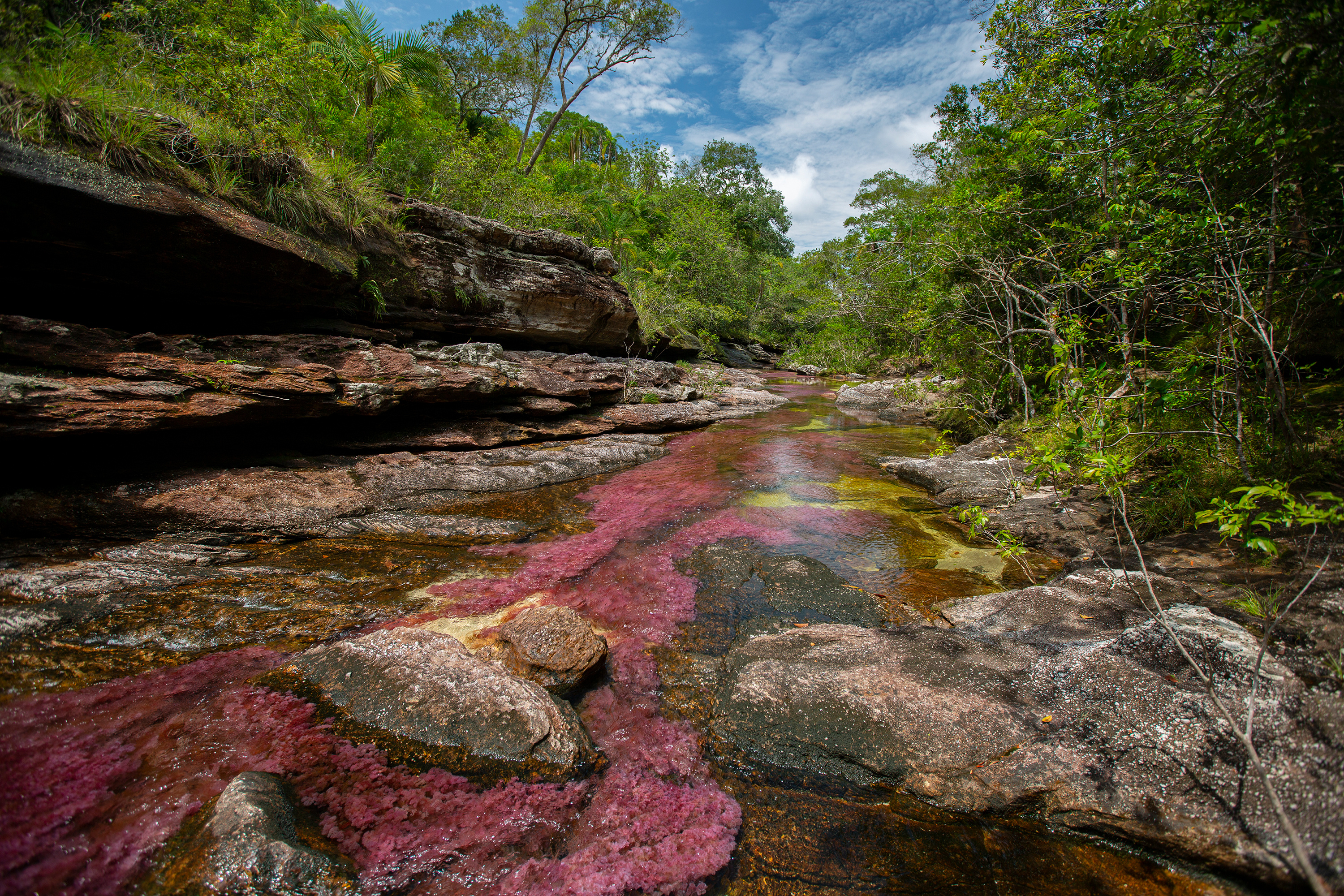 Serrania de la Macarena, Nature's spectacle, Liquid rainbow marvel, Ecological gem, 3000x2000 HD Desktop