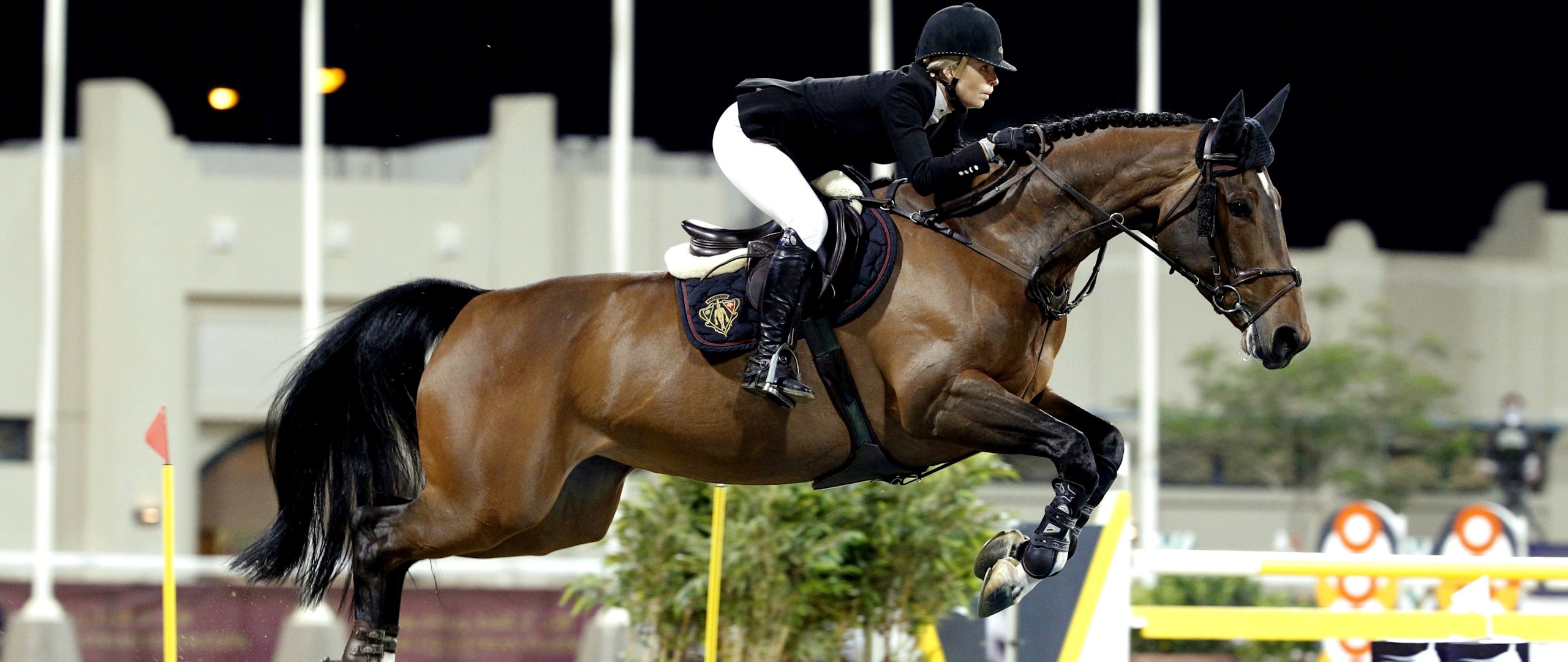 Horse riding, Equitation eventing, Equestrianism outdoor, Action shot, 2560x1080 Dual Screen Desktop