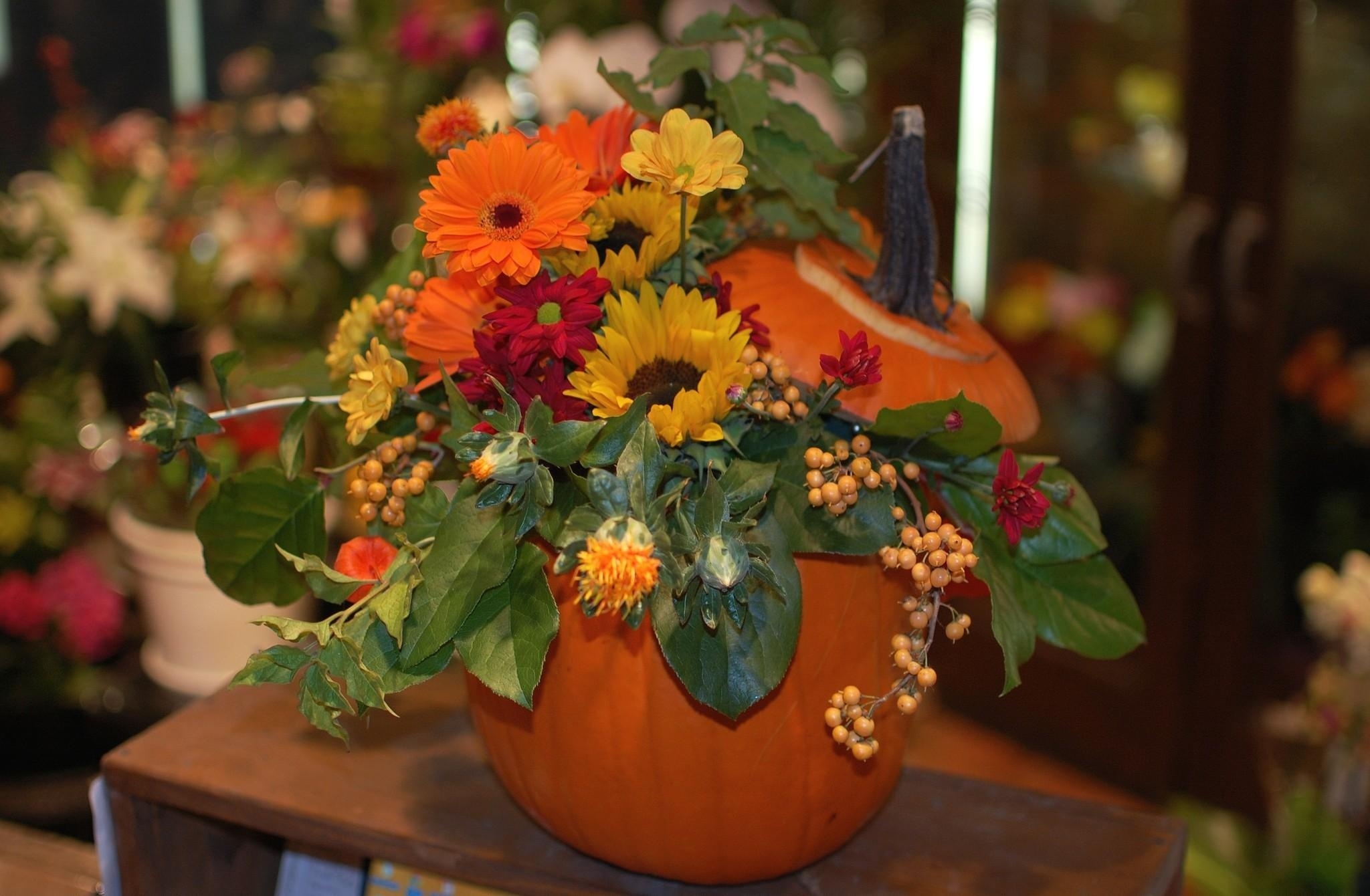 Pumpkin flower arrangement, Orange gerbera daisies, Yellow sunflower bouquet, HD Desktop wallpaper
