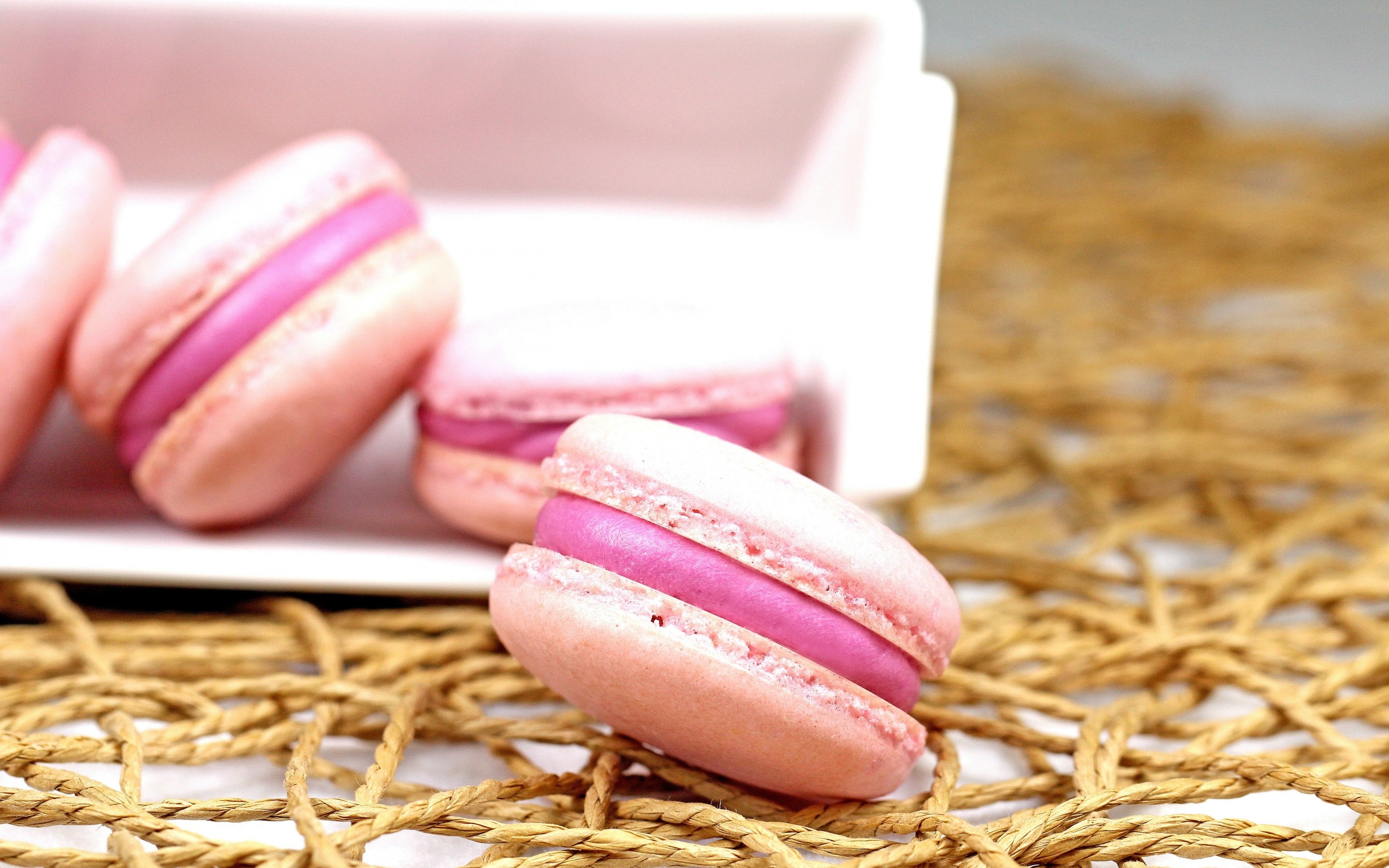 Macaron background, Soft and pastel, Dessert-themed backdrop, Gentle hues, 2880x1800 HD Desktop