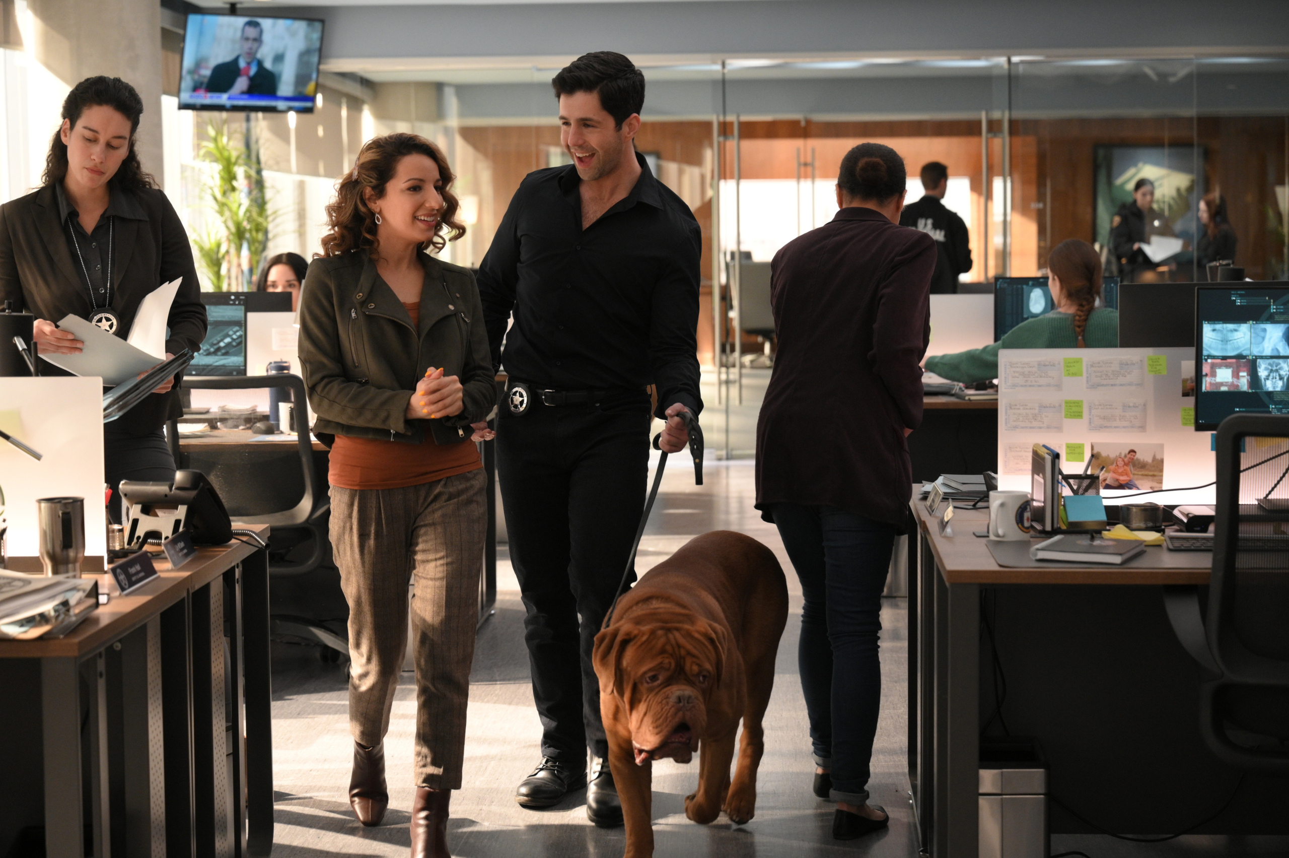 Turner & Hooch, Movie, Wallpaper, 2560x1710 HD Desktop