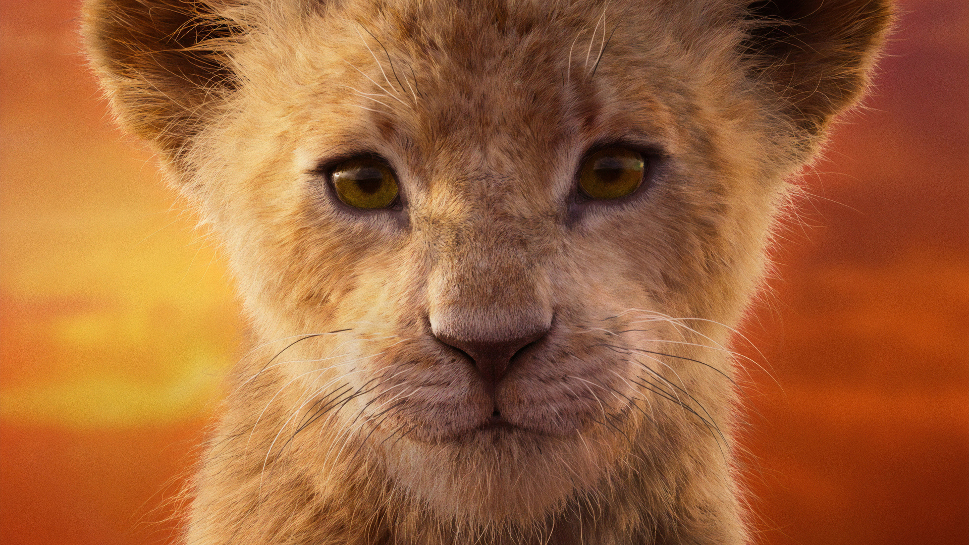 The Lion King movie, HD wallpapers, Majestic pride, Lion's legacy, 1920x1080 Full HD Desktop