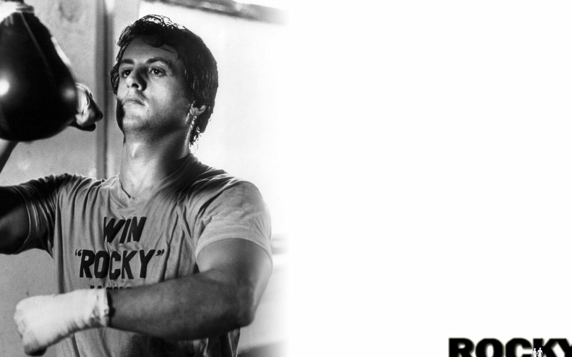 Rocky Balboa, Inspiring wallpaper, Resolution, Augmented reality, 1920x1200 HD Desktop