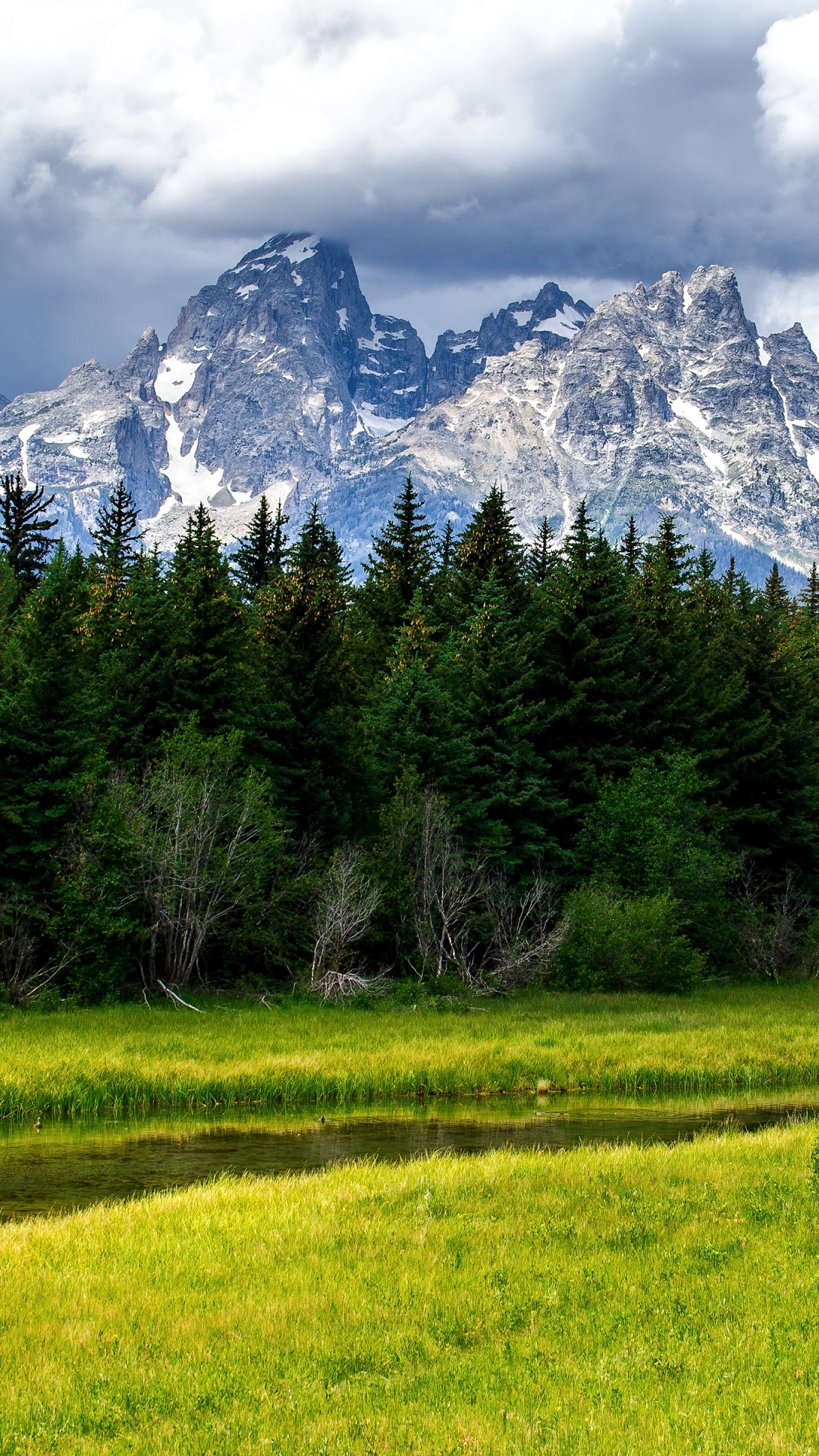 Grand Teton National Park, Green meadow, Wyoming landscape, Water stream, 1080x1920 Full HD Phone