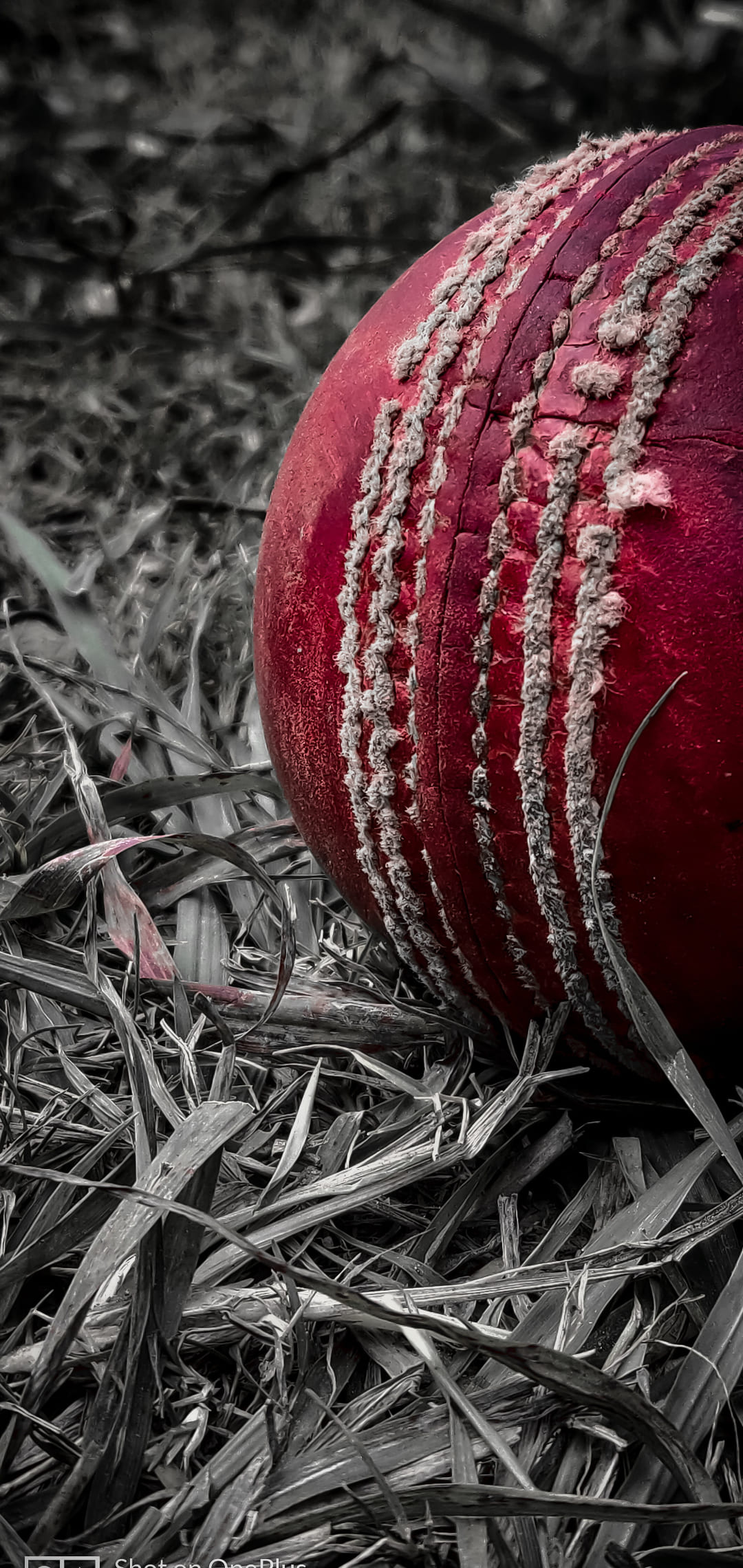 High-quality cricket wallpapers, Wallpaper download, Cricket wallpapers, Wallpapers, 1080x2280 HD Phone