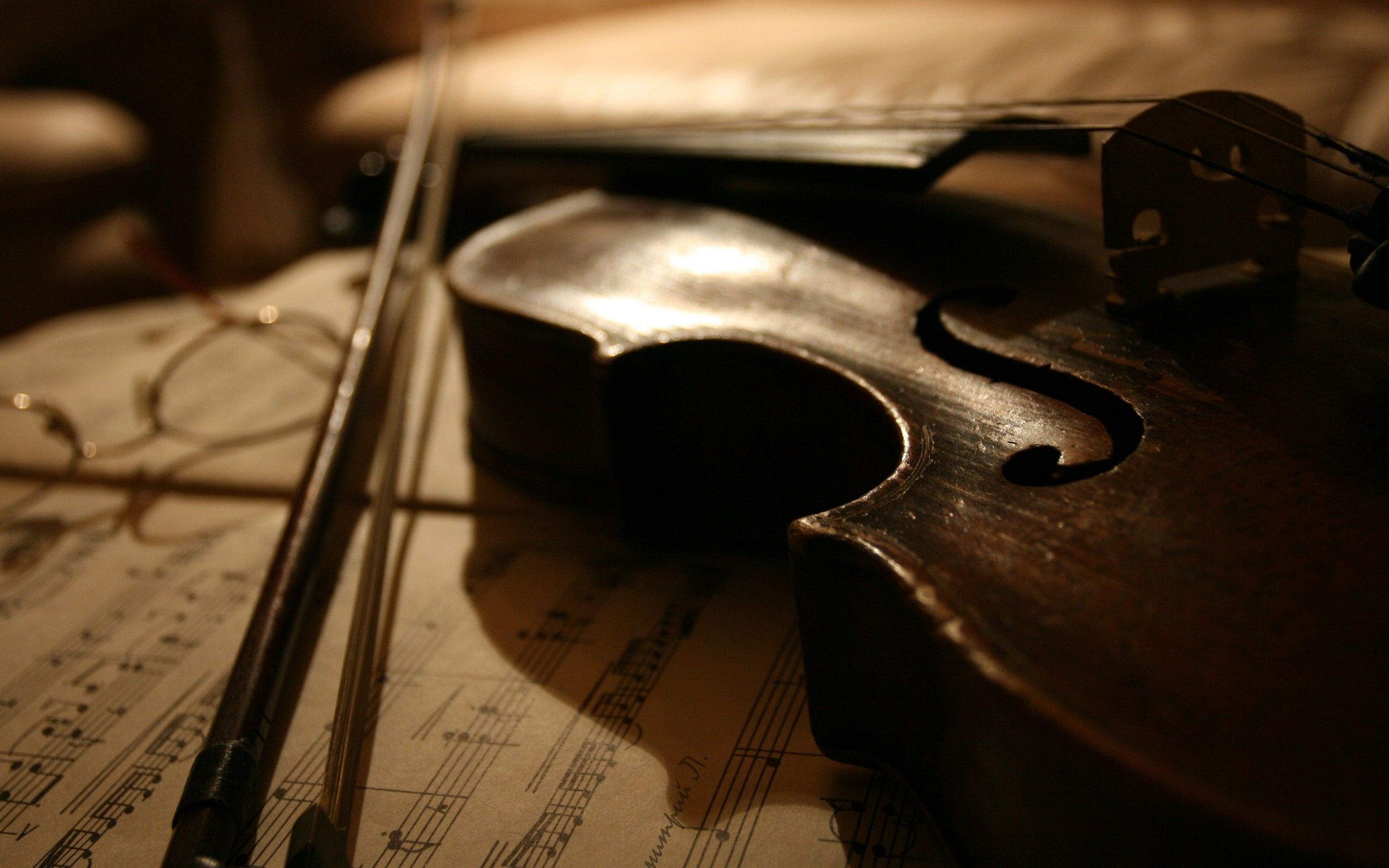 Viola music, Top free backgrounds, Viola wallpapers, Stringed elegance, 2560x1600 HD Desktop