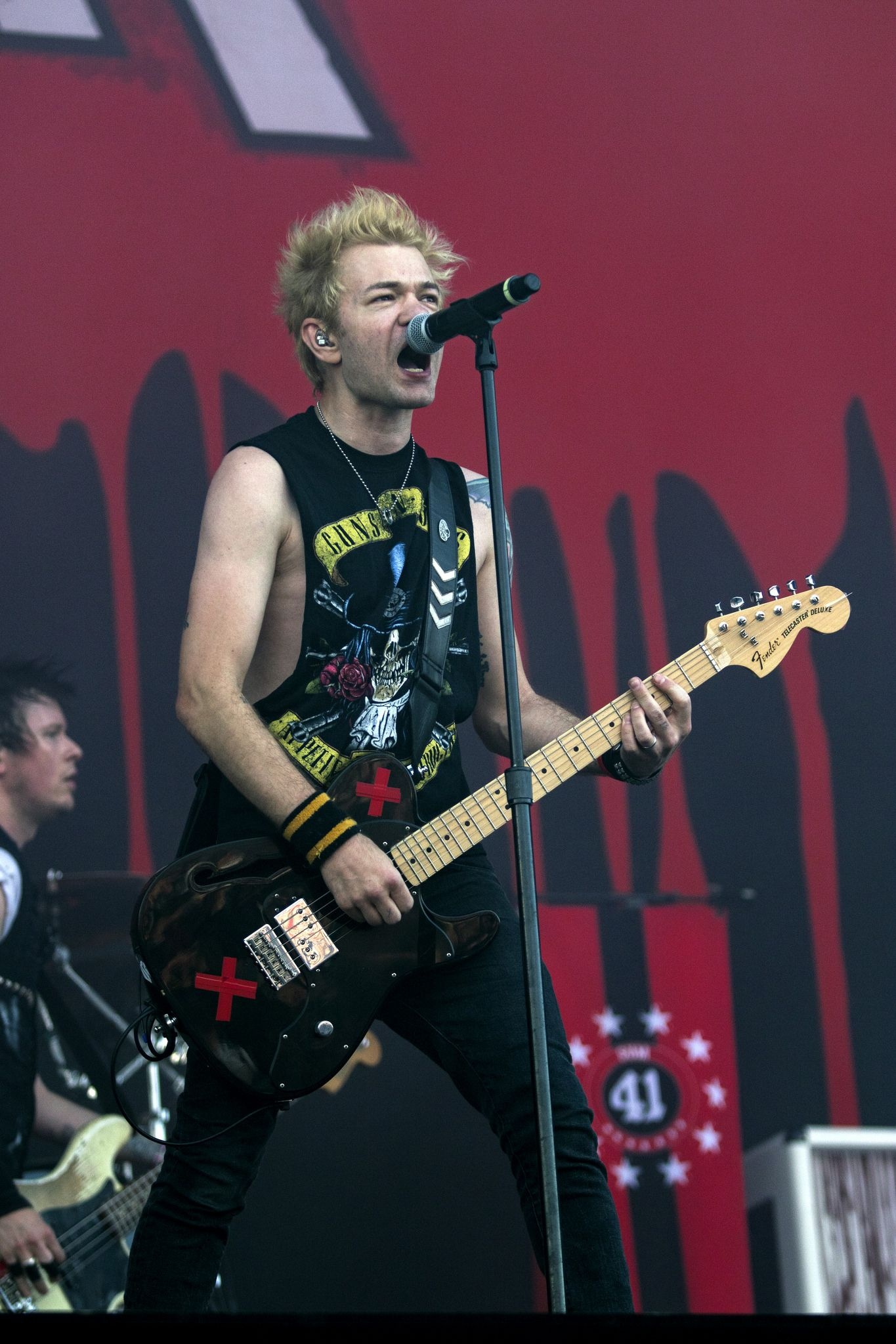 Sum 41, Pinkpop 2017, Pop punk bands, 1370x2050 HD Phone