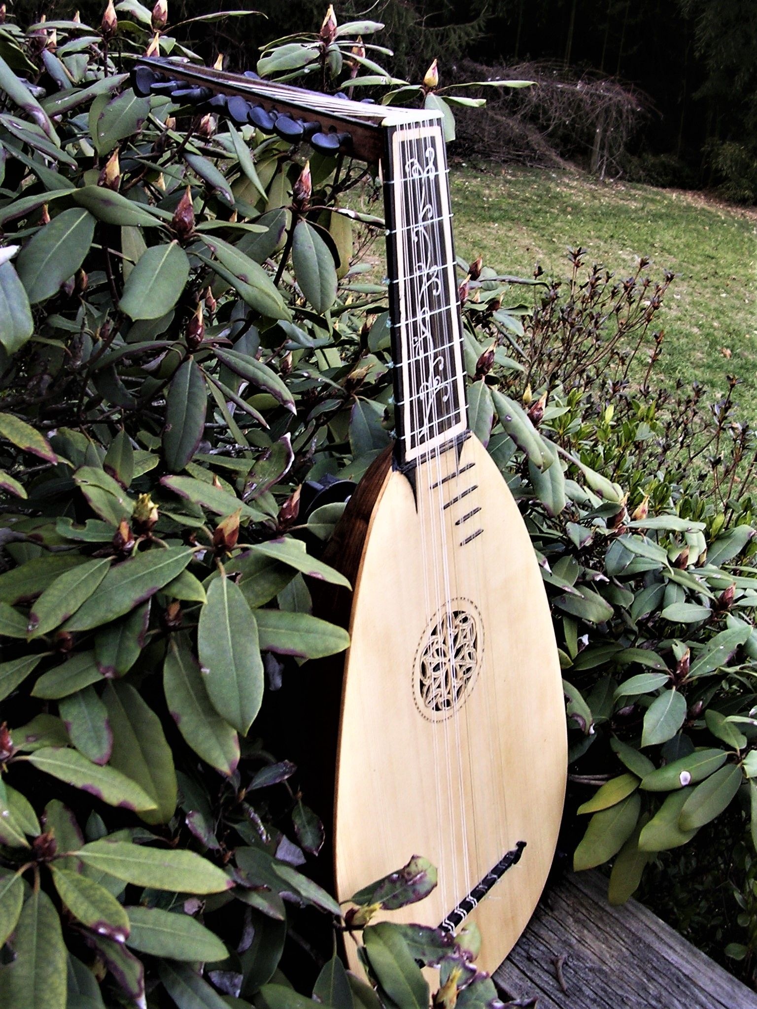 Lute music, Renaissance lute, Seven courses, Dulcimer influence, 1540x2050 HD Phone