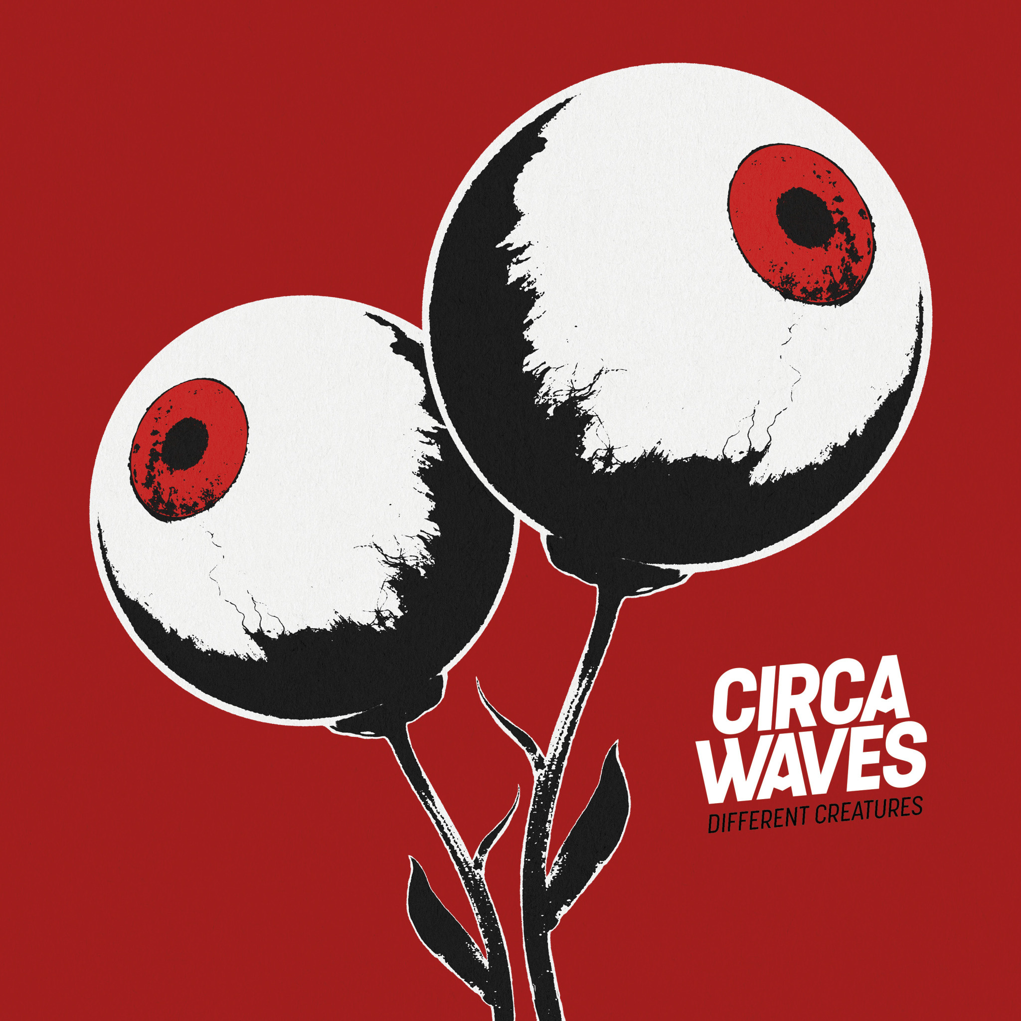 Circa Waves, Gifs, Giphy, 2050x2050 HD Phone