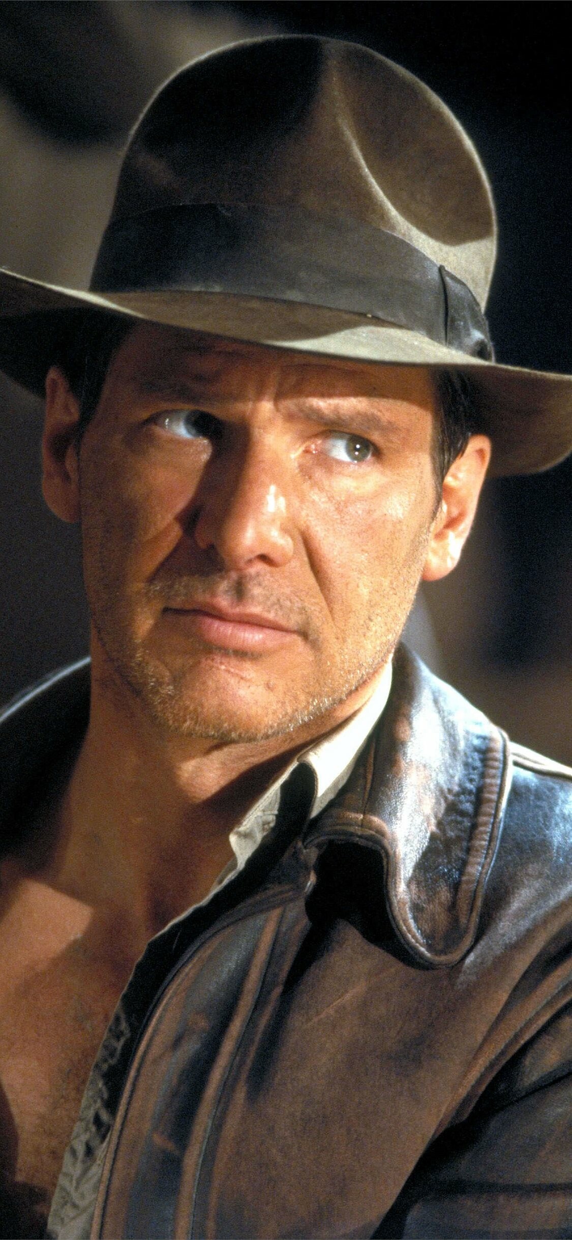 Indiana Jones and the Last Crusade, iPhone HD wallpapers, Stunning visuals, 1130x2440 HD Phone