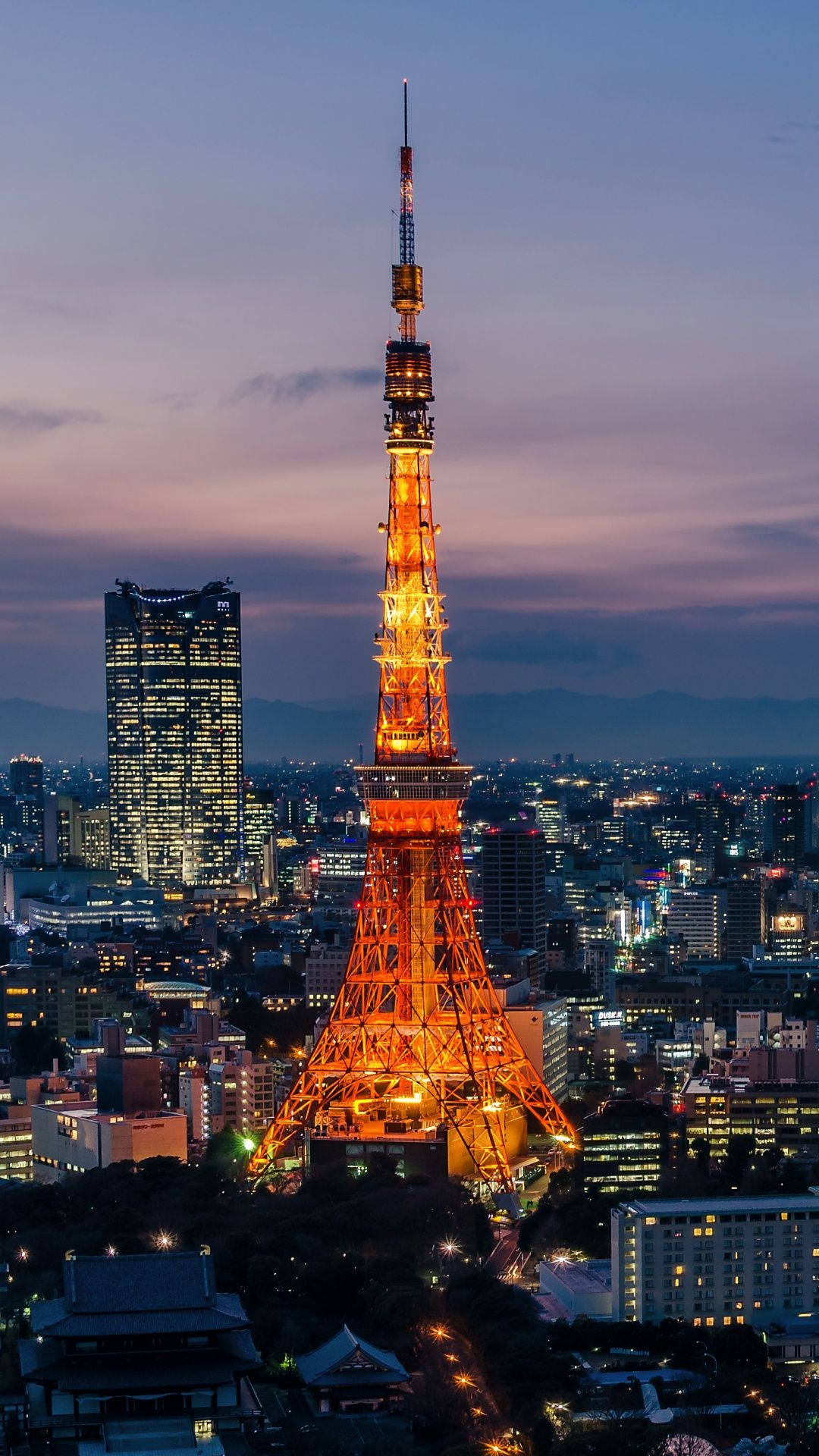 Tokyo Skyline, Best quality wallpapers, HD and 4K backgrounds, City beauty, 1080x1920 Full HD Phone