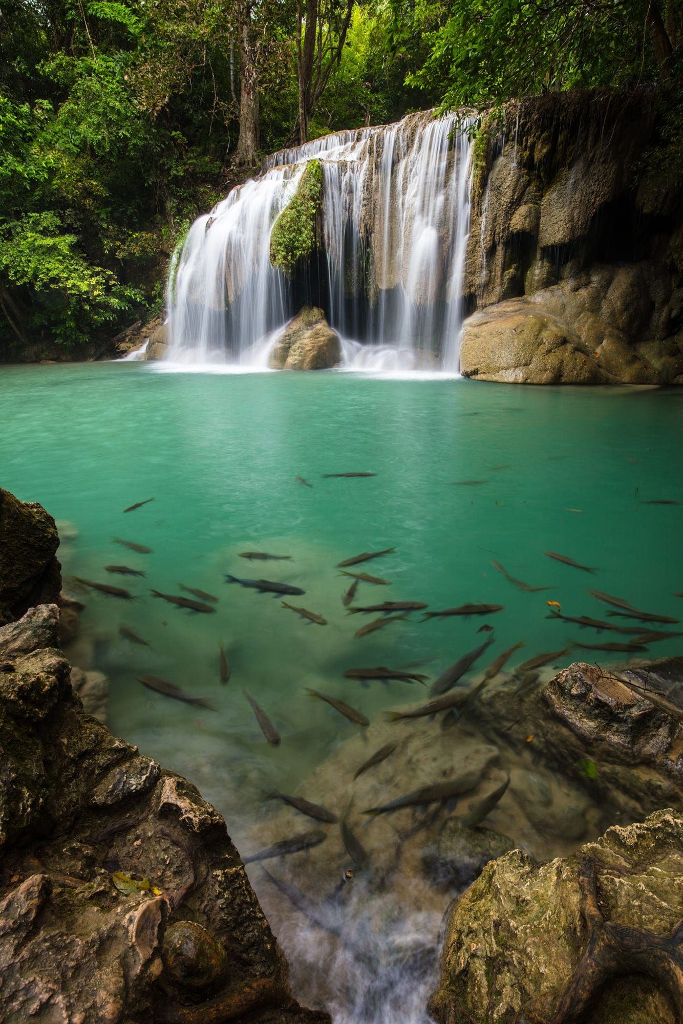 Erawan National Park, Thailand Reizen, Phuket, 1340x2000 HD Phone
