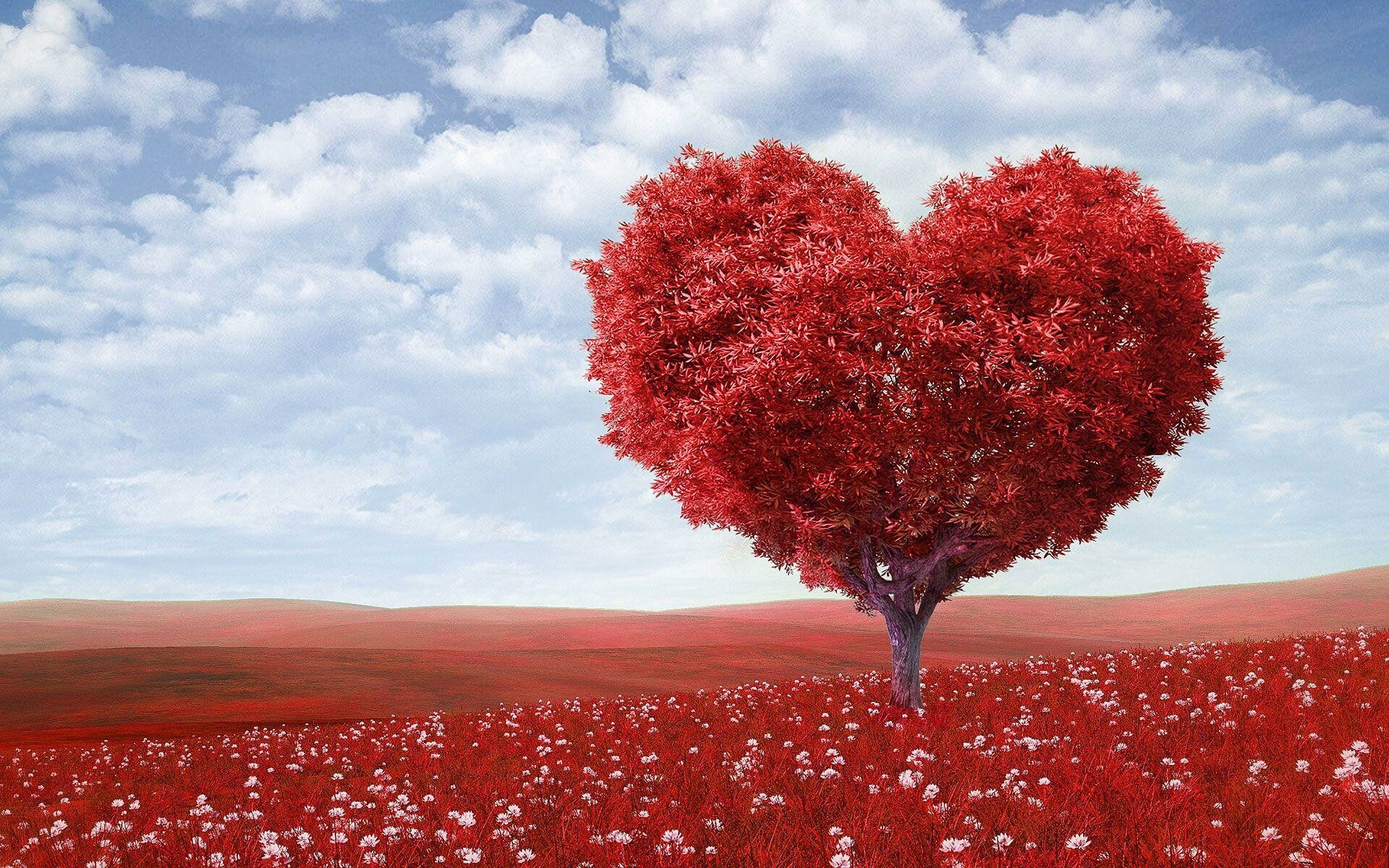 Best heart wallpapers, Top-quality images, Heart-themed, Stunning visuals, 1920x1200 HD Desktop