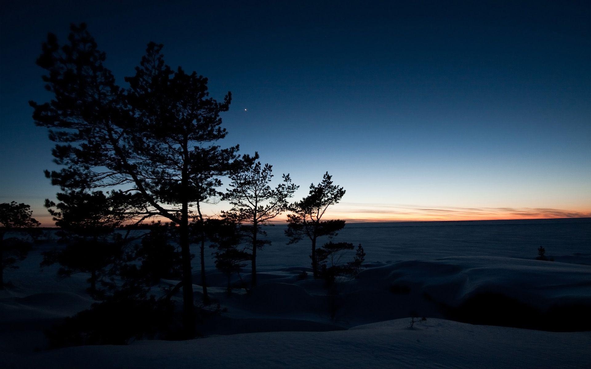silhouetted pine trees, snowy frozen lake, dusk gradient sky, HD Desktop wallpaper