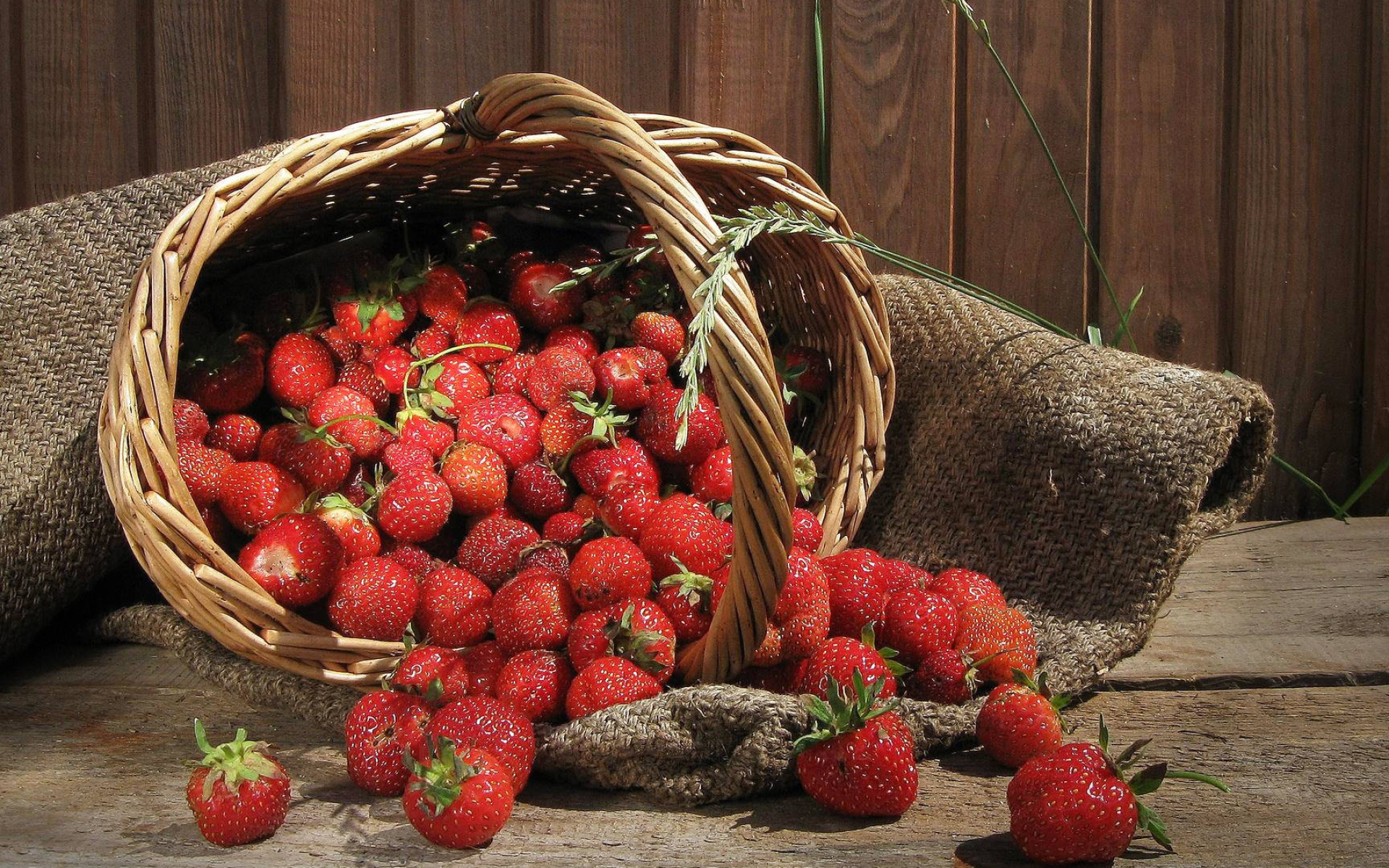 Vibrant strawberry wallpapers, Vector illustrations, Colorful fruit art, Delicious summer treats, 1920x1200 HD Desktop