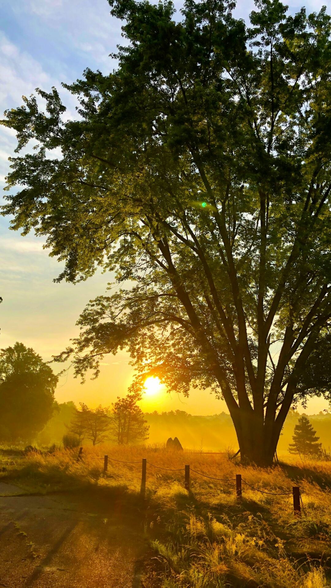 Nature, Sunrise, Top 20, Best, 1080x1920 Full HD Phone