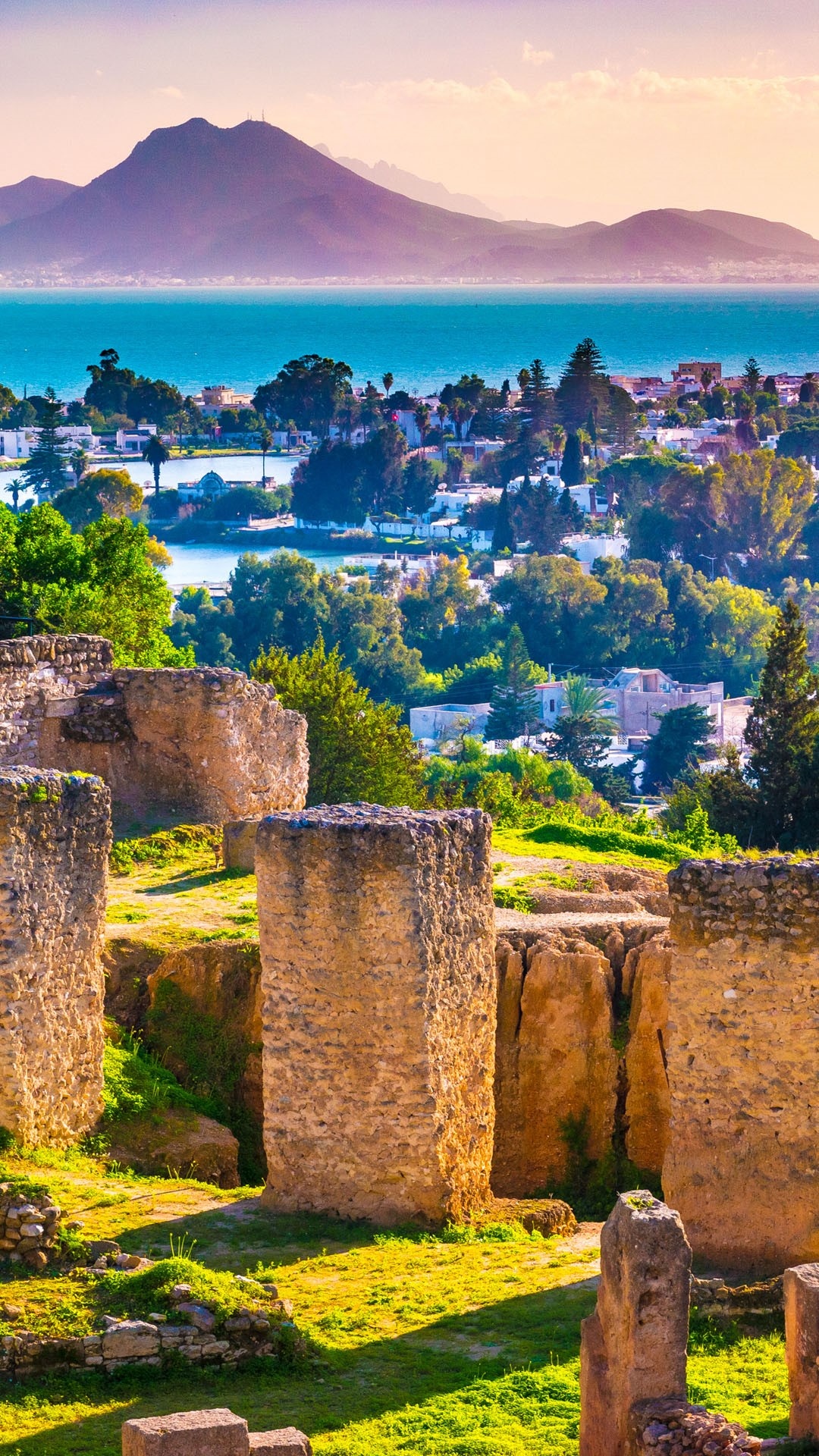 Tunisia, Ancient treasures, Carthage ruins, Historical heritage, 1080x1920 Full HD Phone