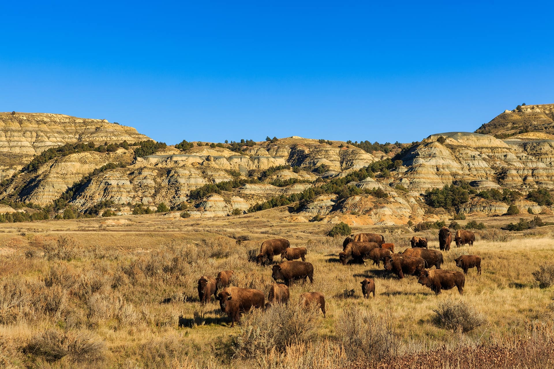 Underrated national parks, Family vacation destinations, Theodore Roosevelt Park, Family-friendly travel, 1920x1280 HD Desktop