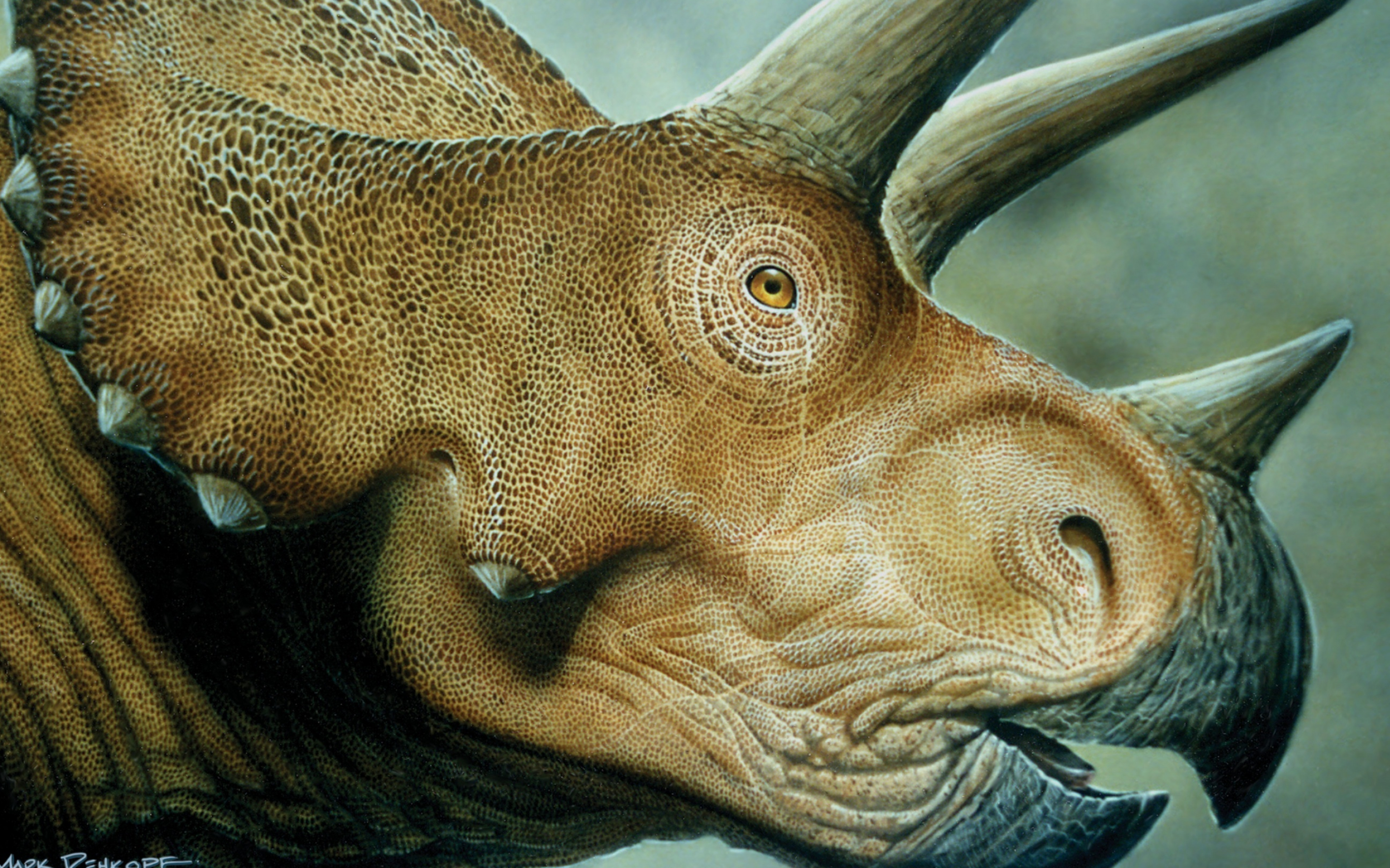 Triceratops, Widescreen wallpaper, Ultrawide desktop, Tablet smartphone, 2880x1800 HD Desktop