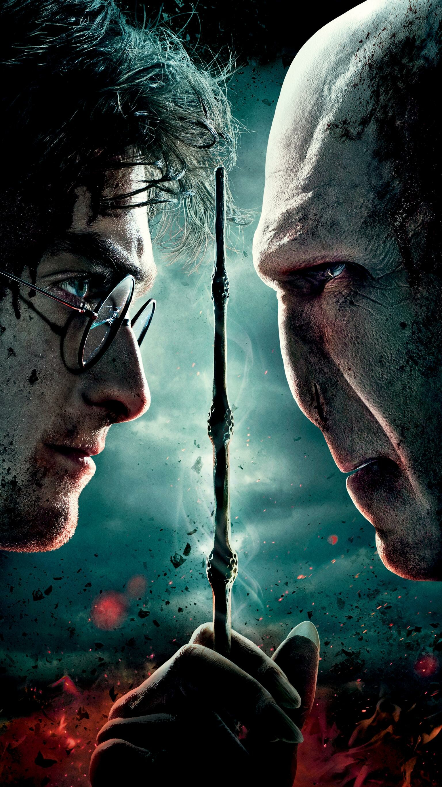 Harry vs Voldemort, Harry Potter Wallpaper, 1540x2740 HD Phone