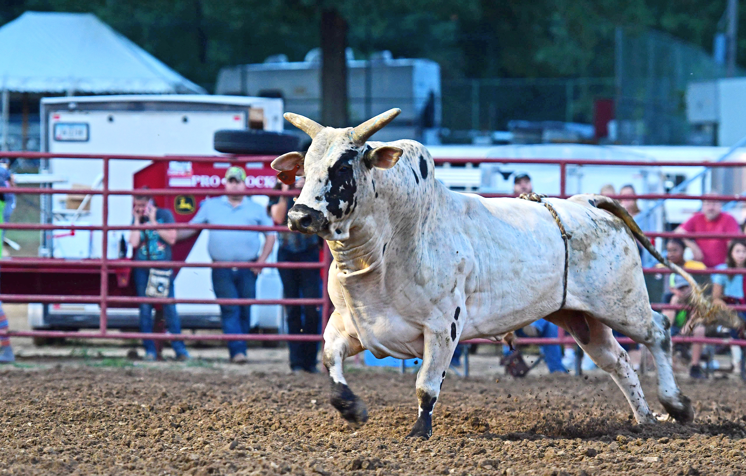 Fair bull riding, Freestyle action, American bullfighting, Spectacular performances, 2880x1840 HD Desktop