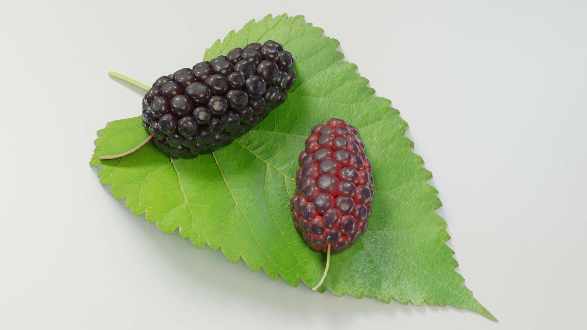Disco mulberry model, 3D food, Vibrant colors, Unique texture, 1920x1080 Full HD Desktop