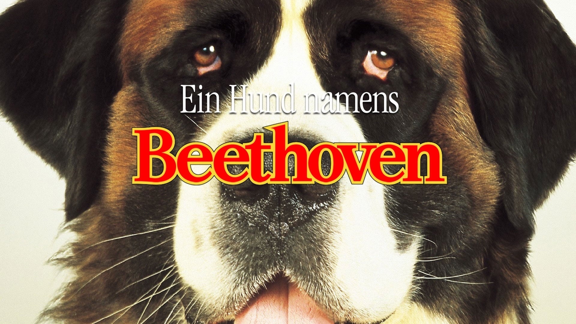 Beethoven movie, Stream online, Google Play, YouTube, 1920x1080 Full HD Desktop