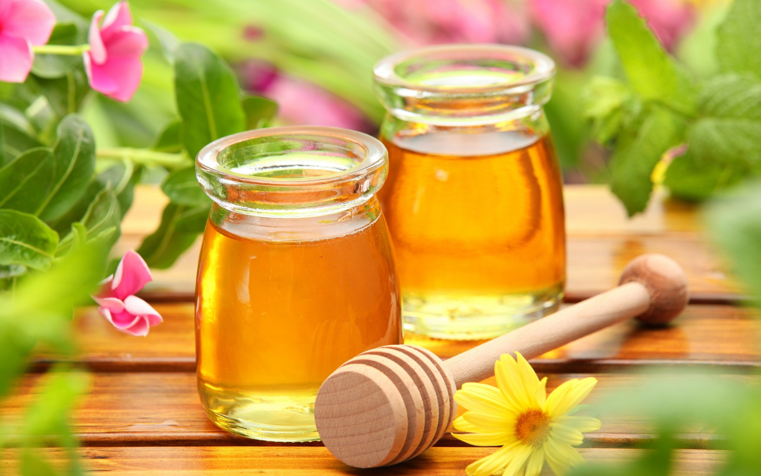 Honey harvest, Sweet indulgence, Glass jars, High-quality wallpapers, 2560x1600 HD Desktop