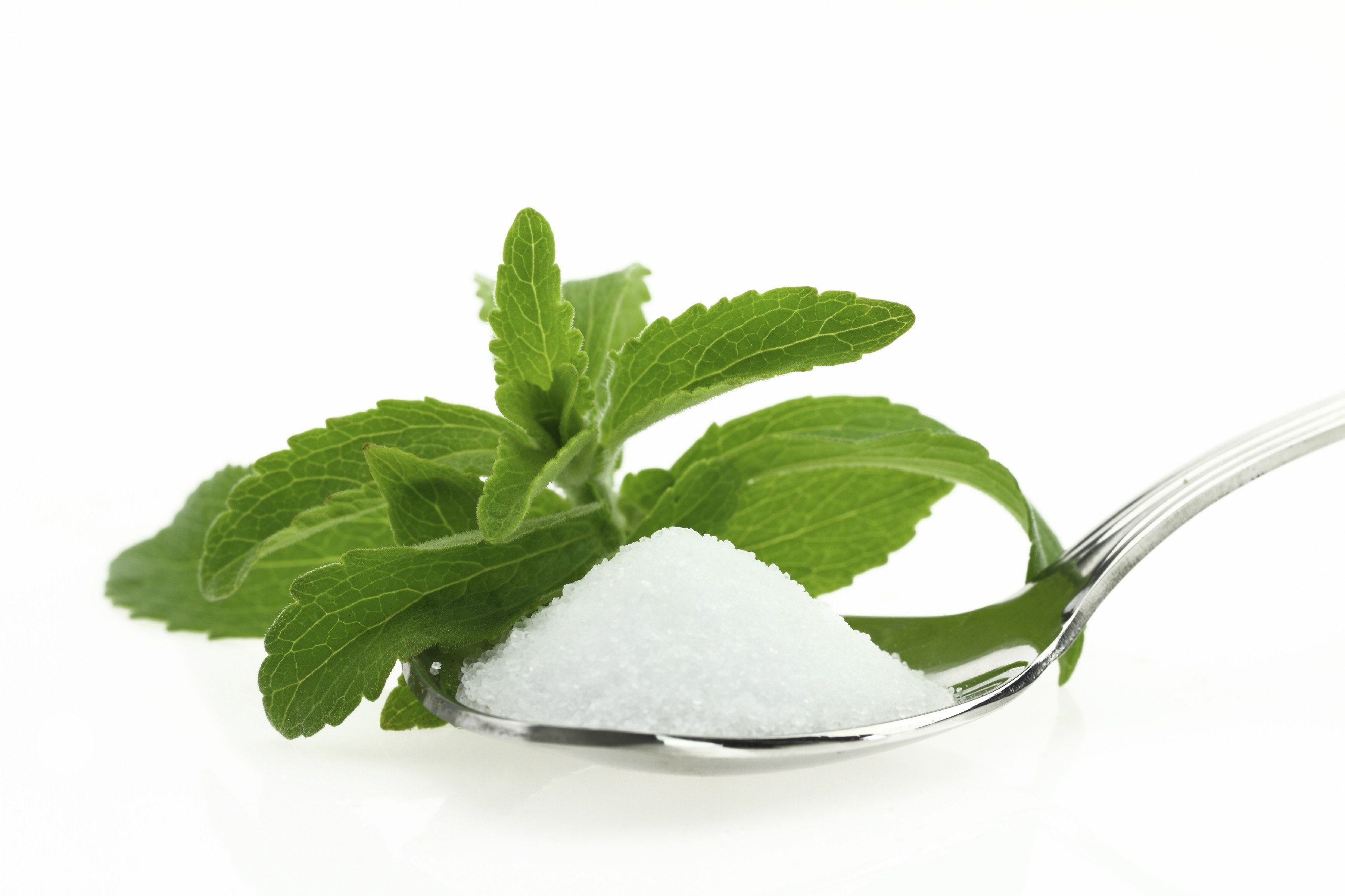 Powder and plant, Stevia Wallpaper, 2720x1810 HD Desktop