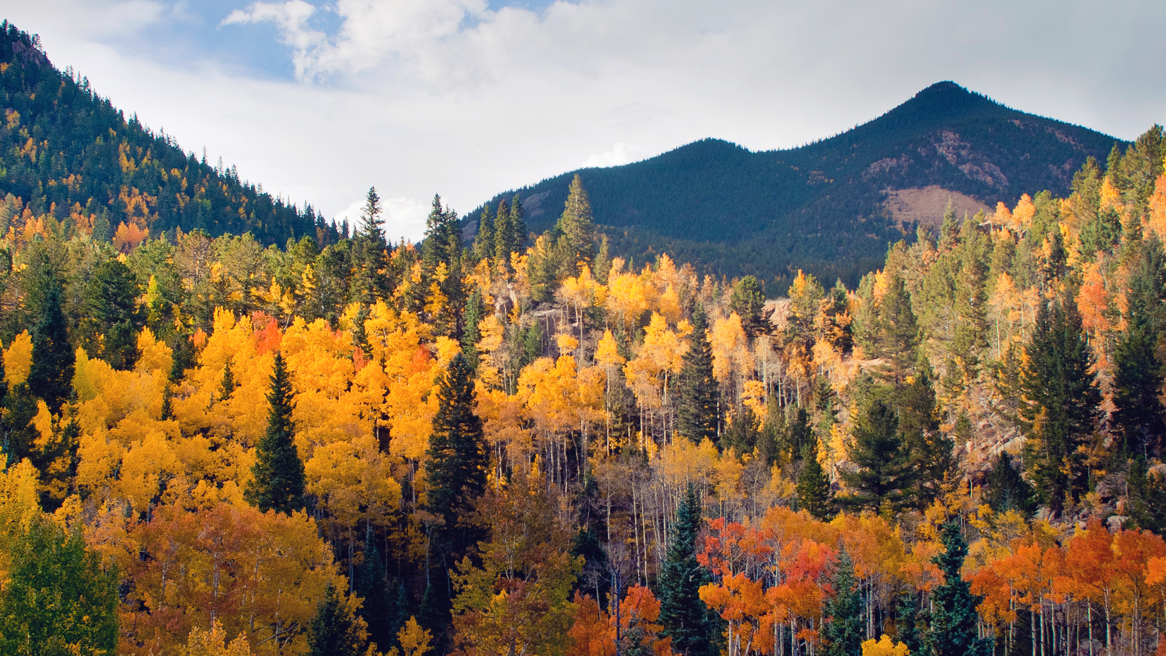 Mountain woodland, Fall Wallpaper, 3840x2160 4K Desktop