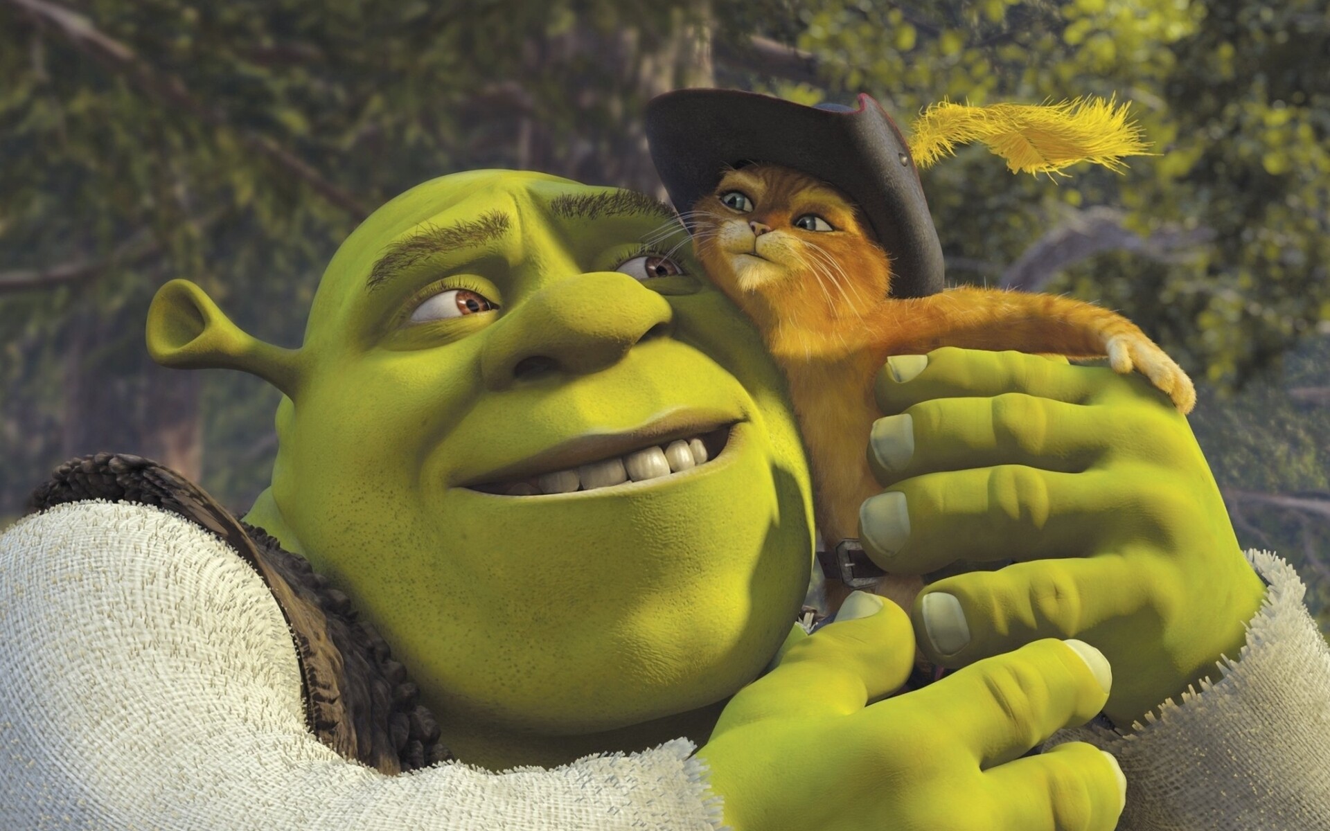 Shrek and Puss in Boots, Shrek Wallpaper, 1920x1200 HD Desktop