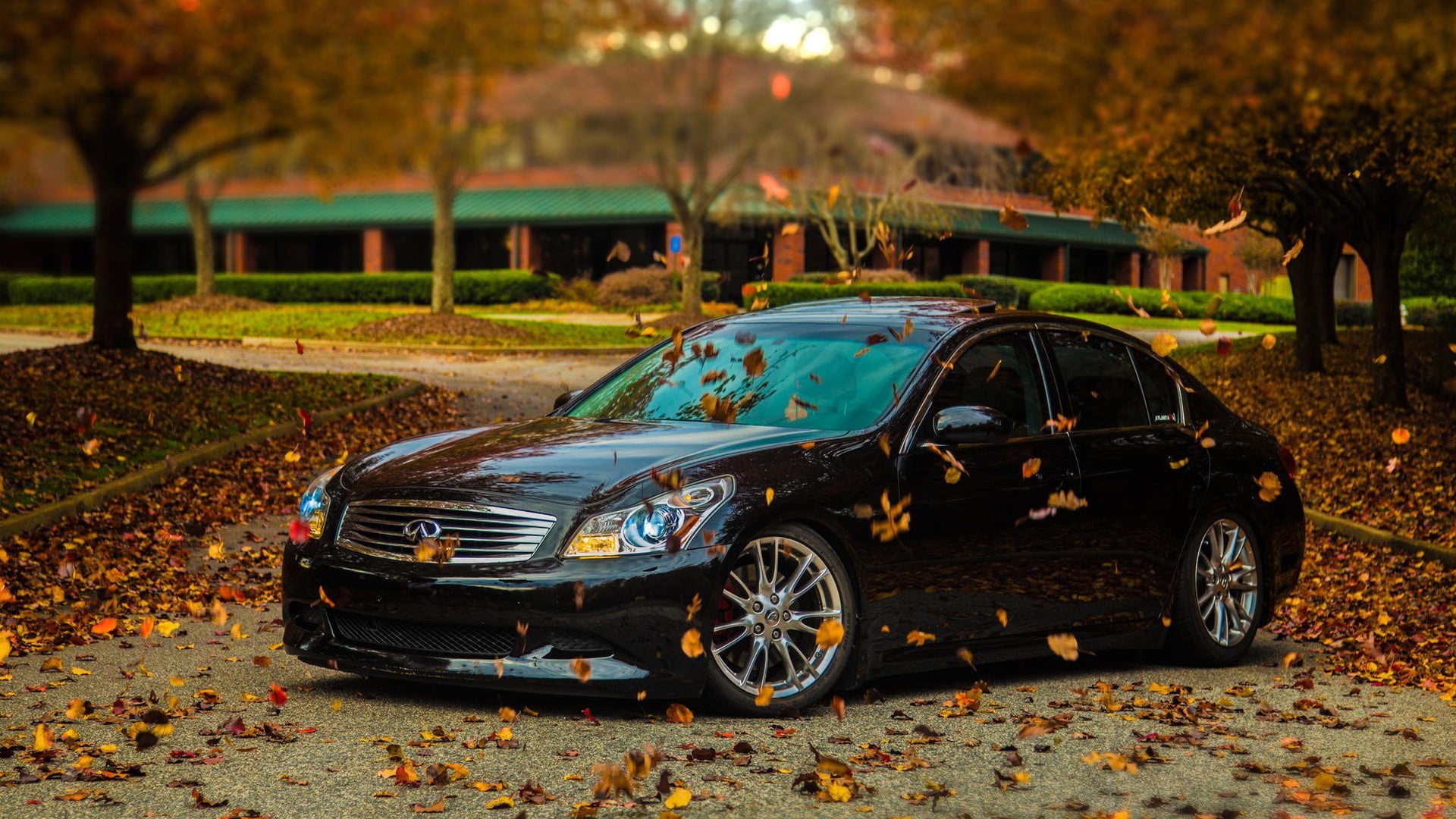 Leaf Fall, Infiniti G35 Wallpaper, 1920x1080 Full HD Desktop