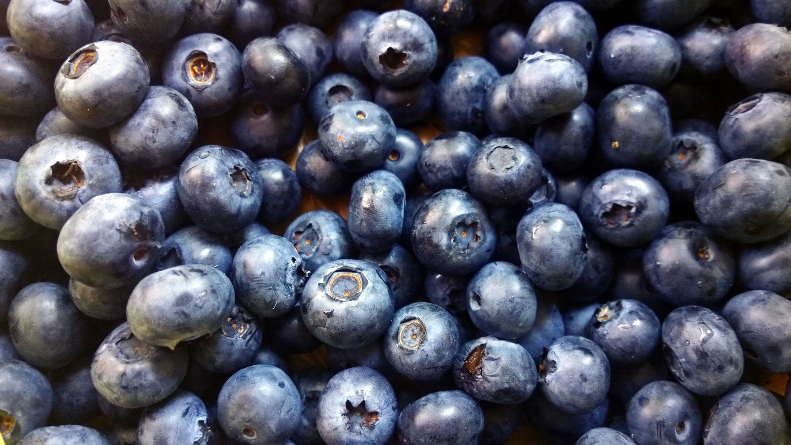 Food, Blueberry backgrounds, Top free wallpapers, 2560x1440 HD Desktop