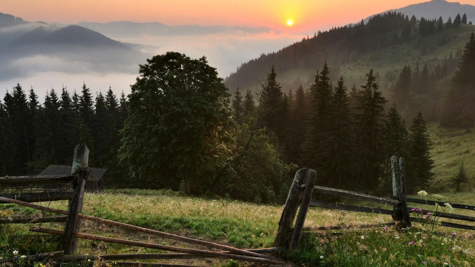 Ukrainian landscape wallpapers, Serene views, Stunning beauty, Natural wonders, 1920x1080 Full HD Desktop