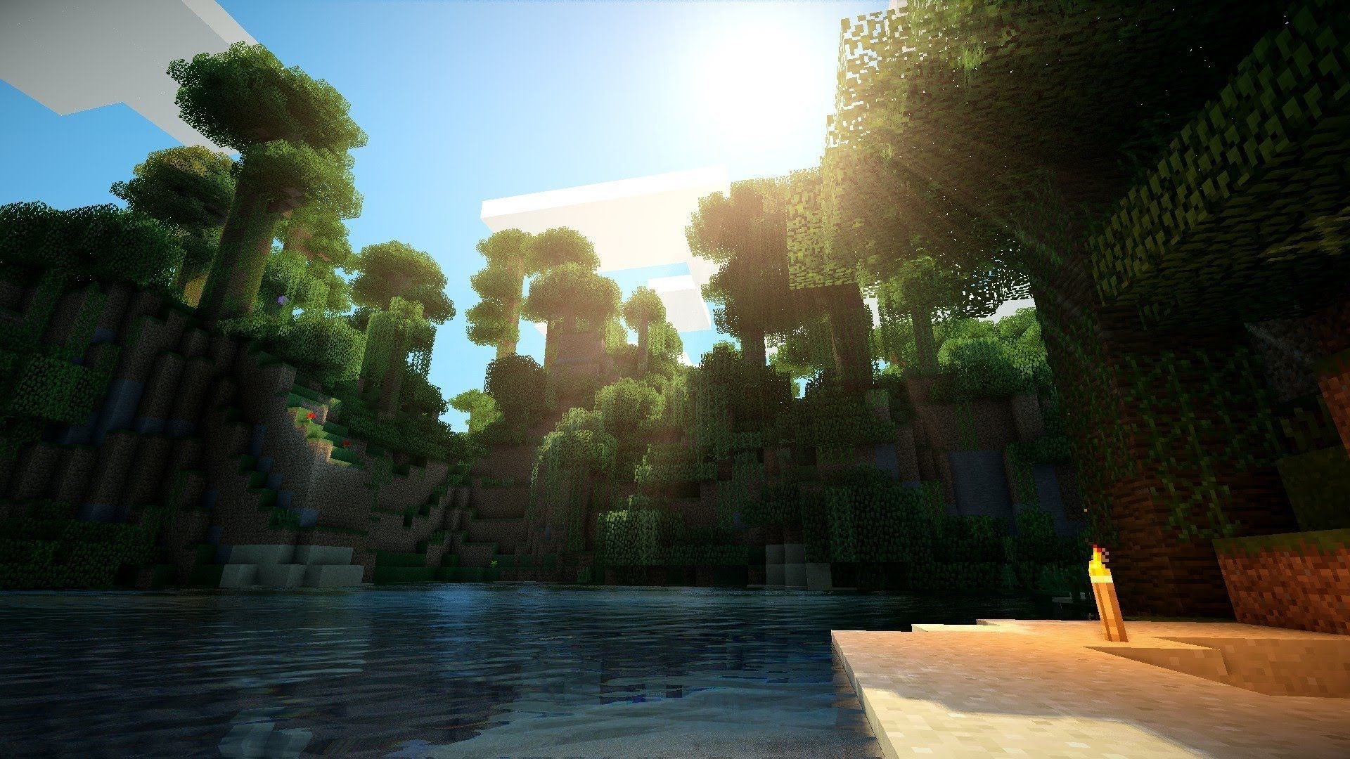 Minecraft jungle biome, Minecraft torch, shader water reflections, Full HD Desktop wallpaper
