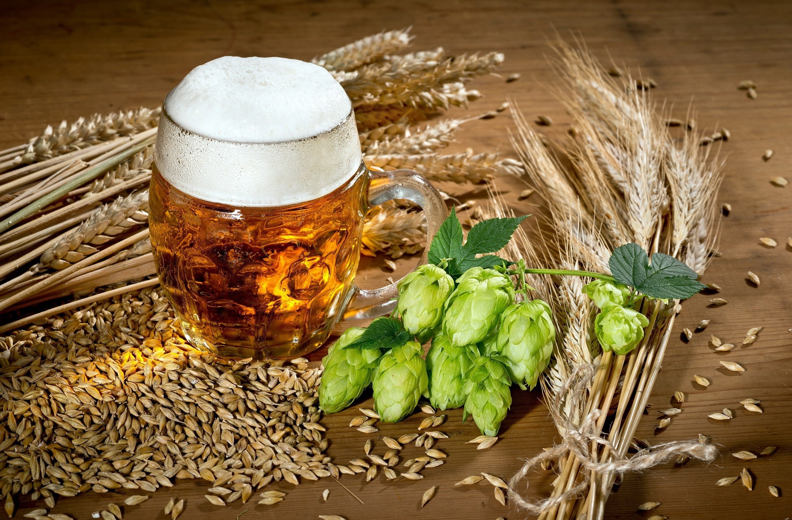 10+ Hop Fonds d'cran HD et Images 2560x1680