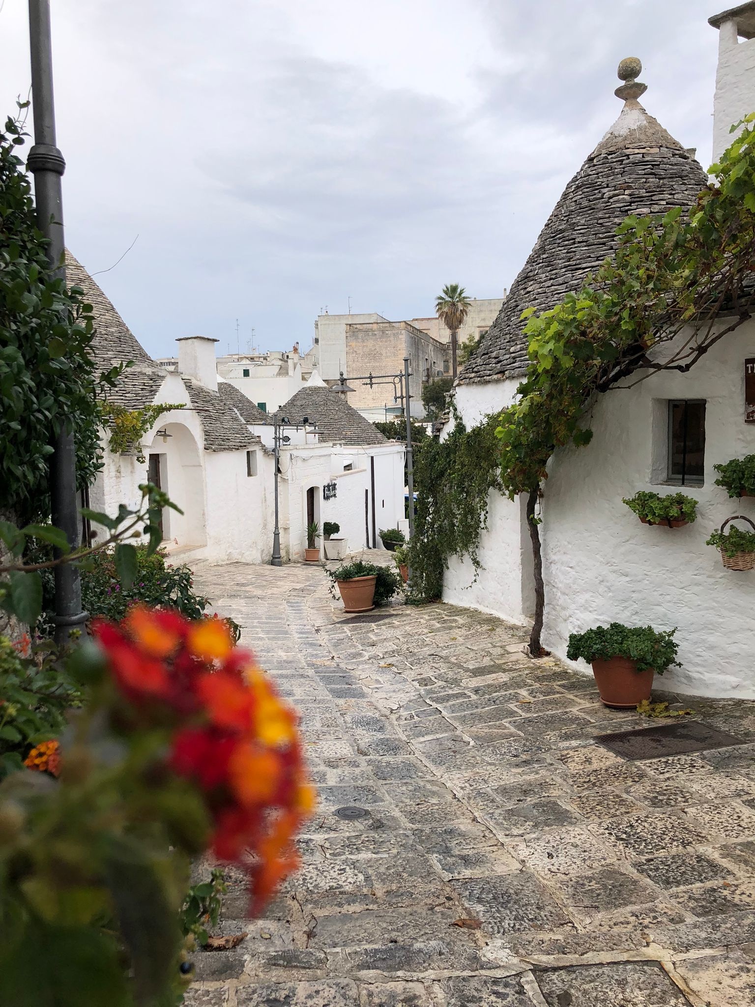 Unexpected Italian surprise, Enchanting Alberobello, 1540x2050 HD Phone