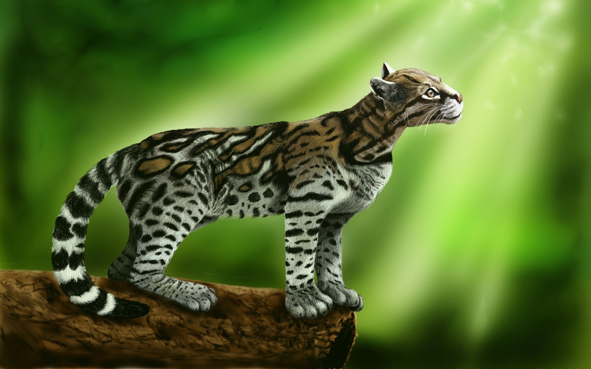 Ocelot, Animal wallpaper, Samantha Johnson, Nature's artistry, 1920x1200 HD Desktop